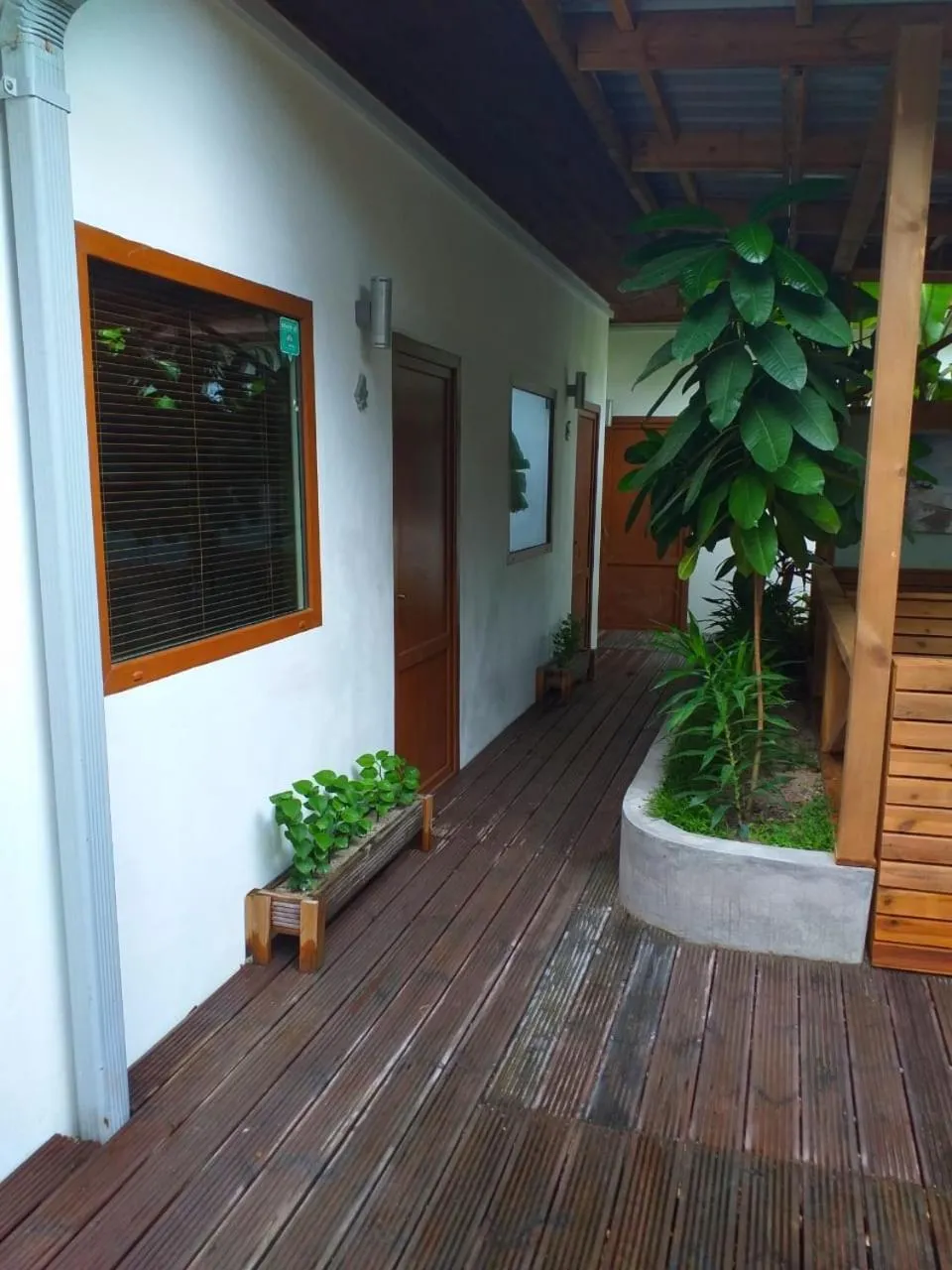 Garden in Dive Villa Thoddoo