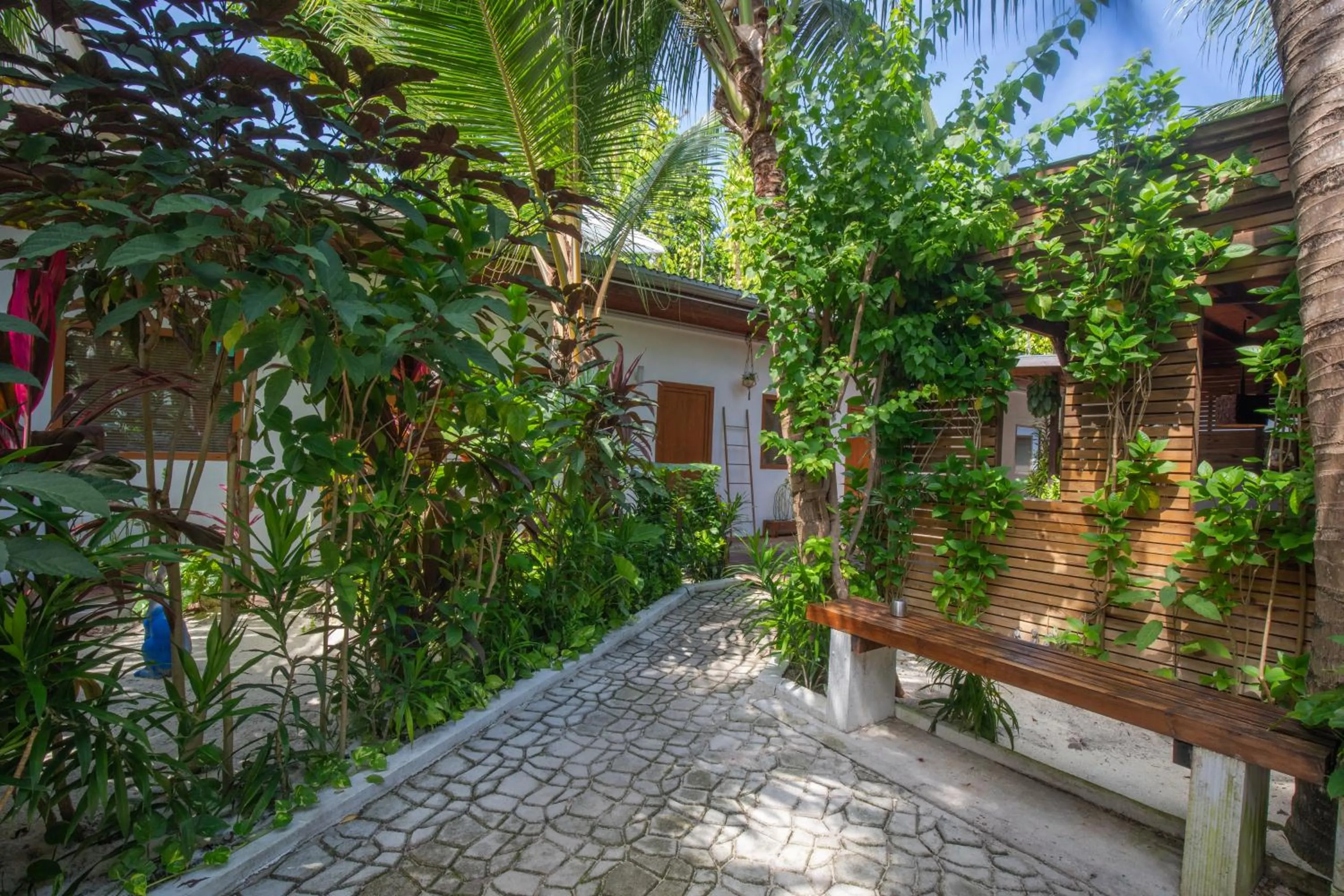 Property building in Dive Villa Thoddoo