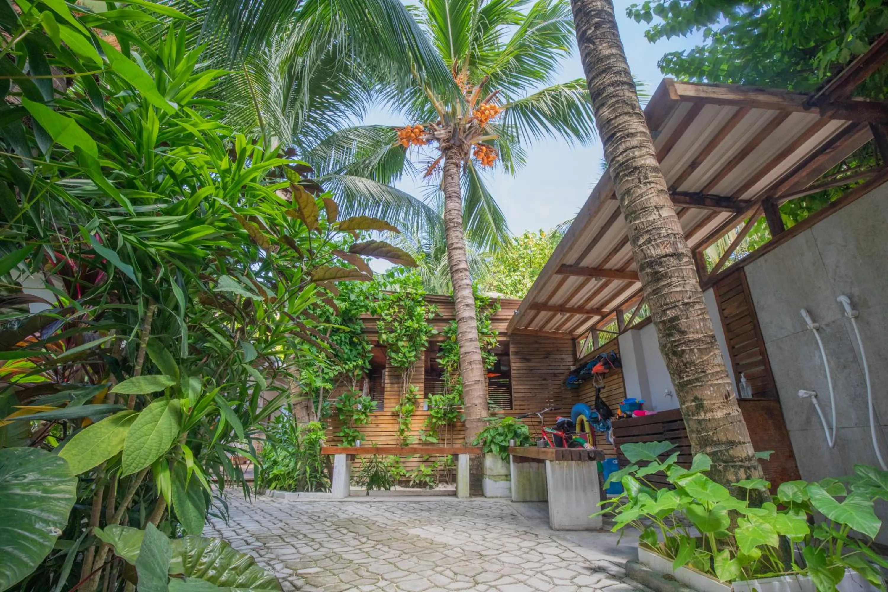 Property building in Dive Villa Thoddoo