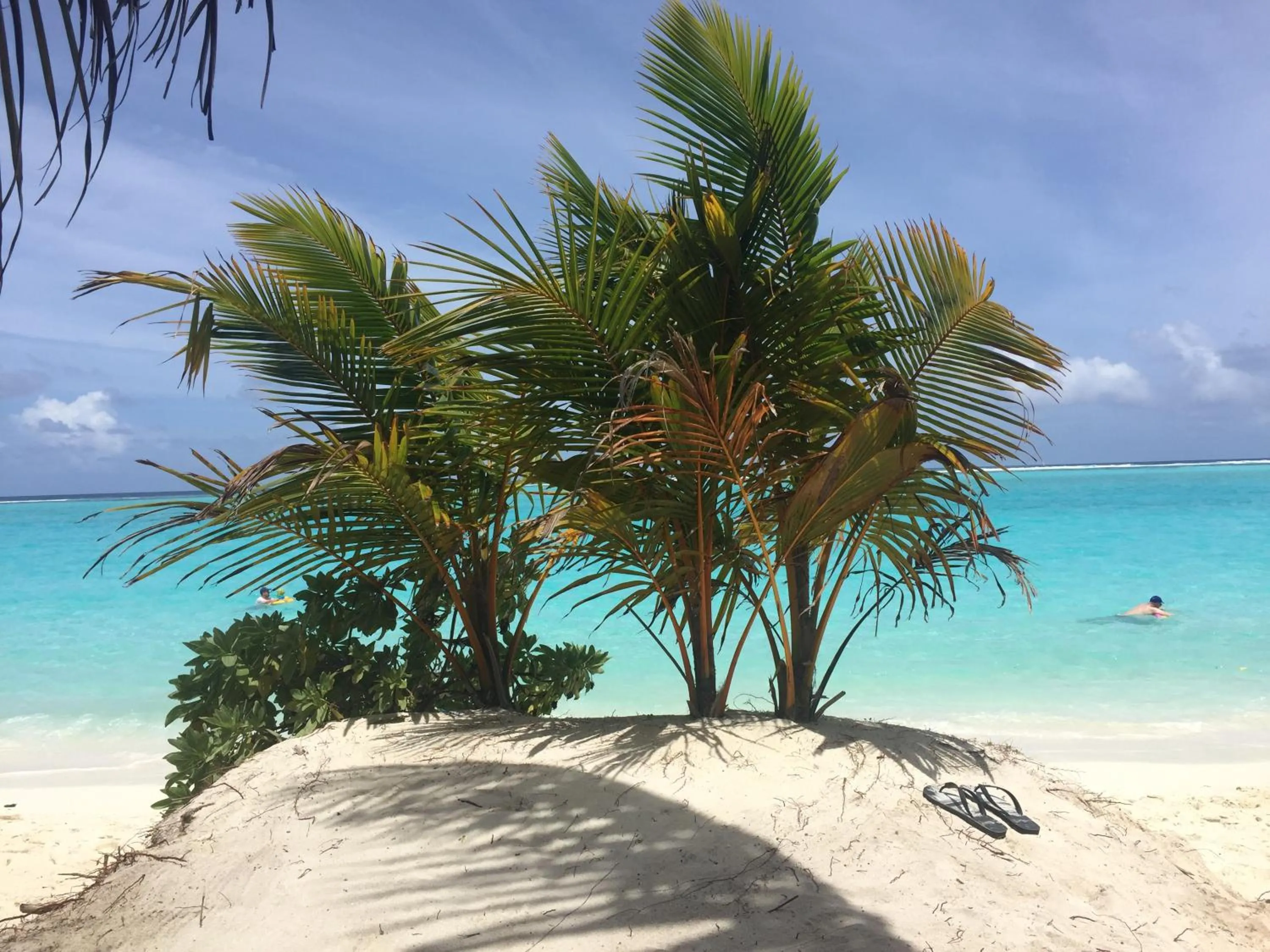 Beach in Dive Villa Thoddoo