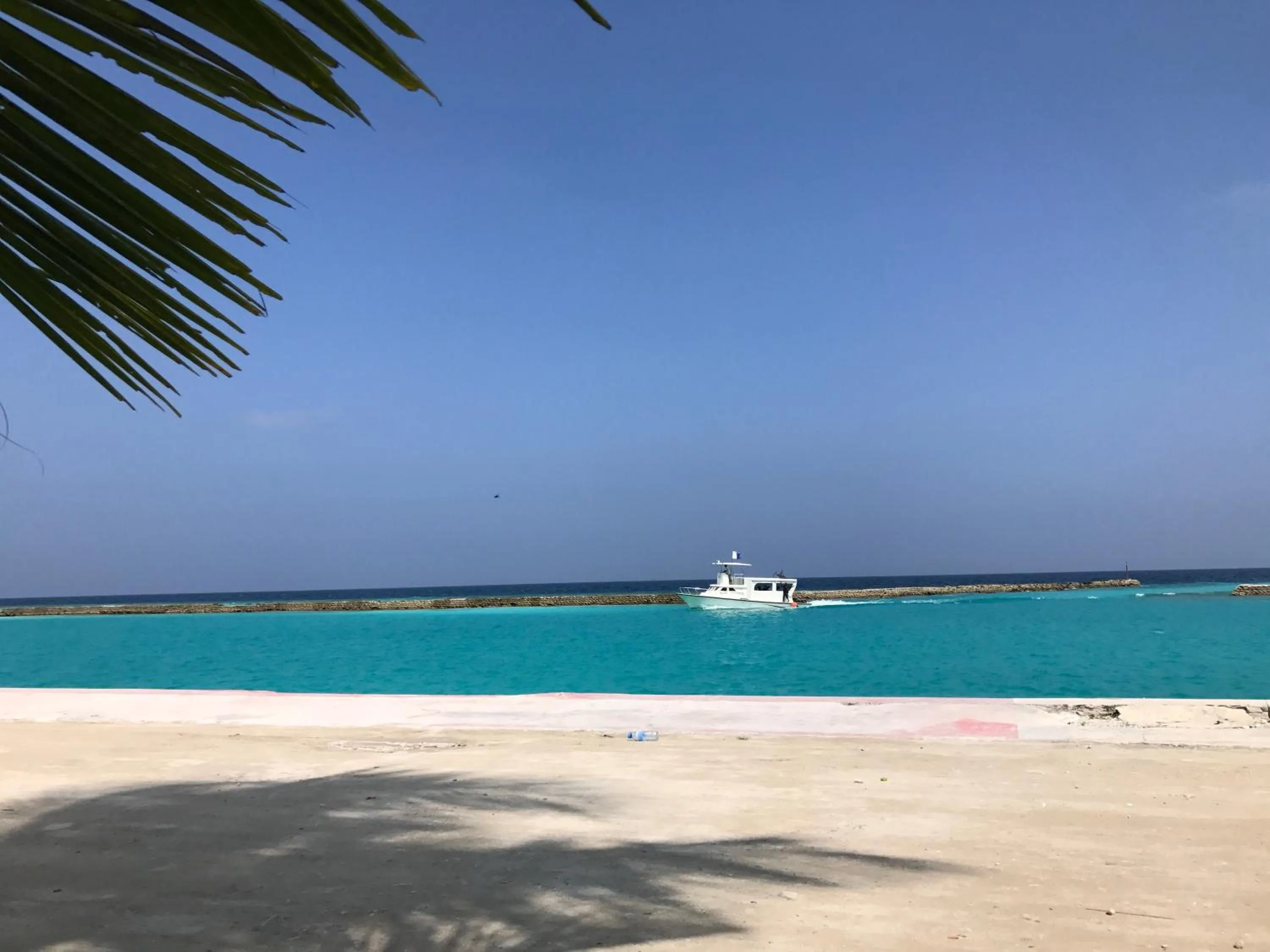 Area and facilities in Dive Villa Thoddoo