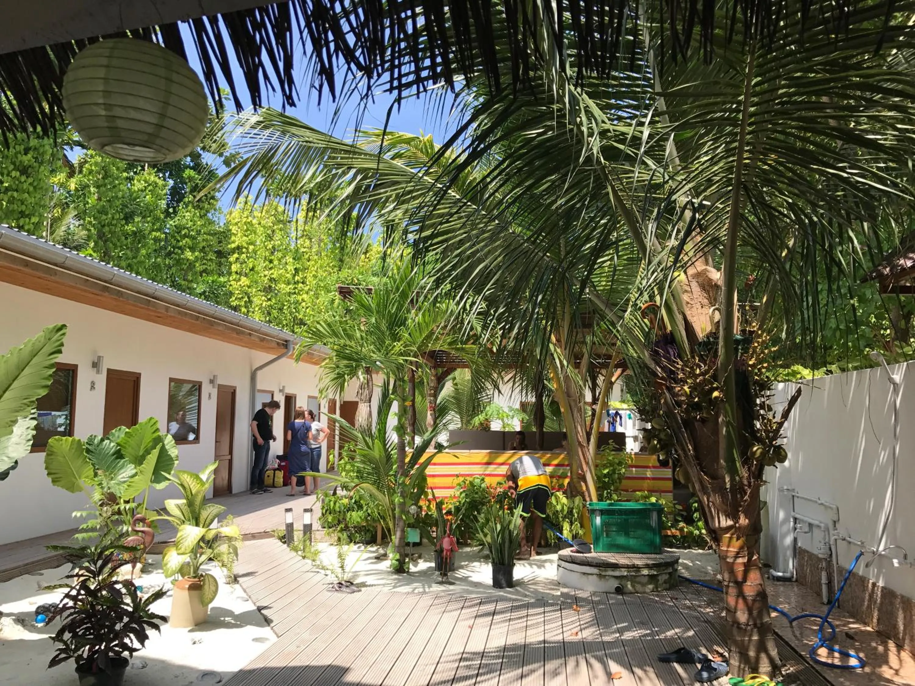 Garden in Dive Villa Thoddoo