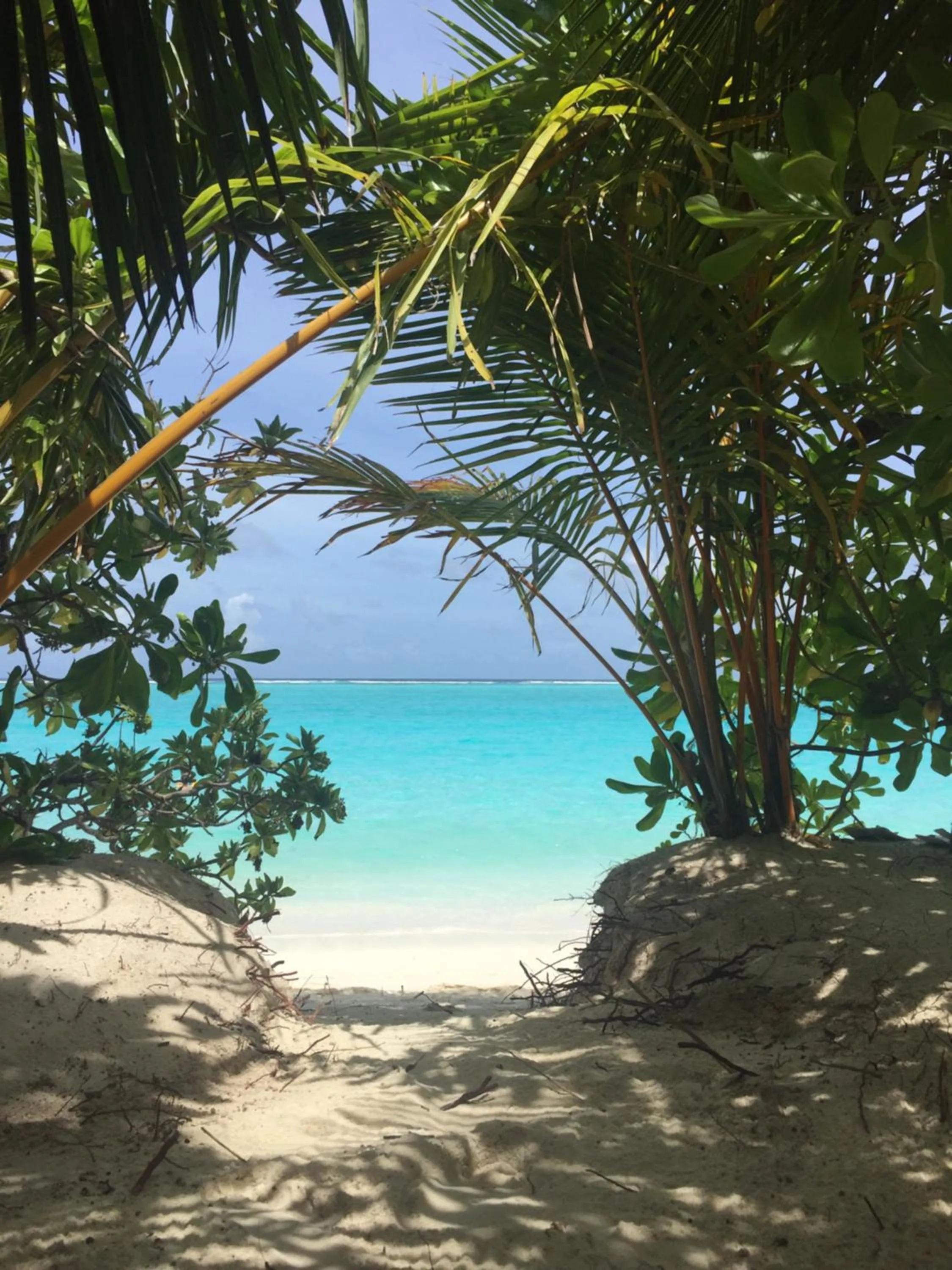 Beach in Dive Villa Thoddoo