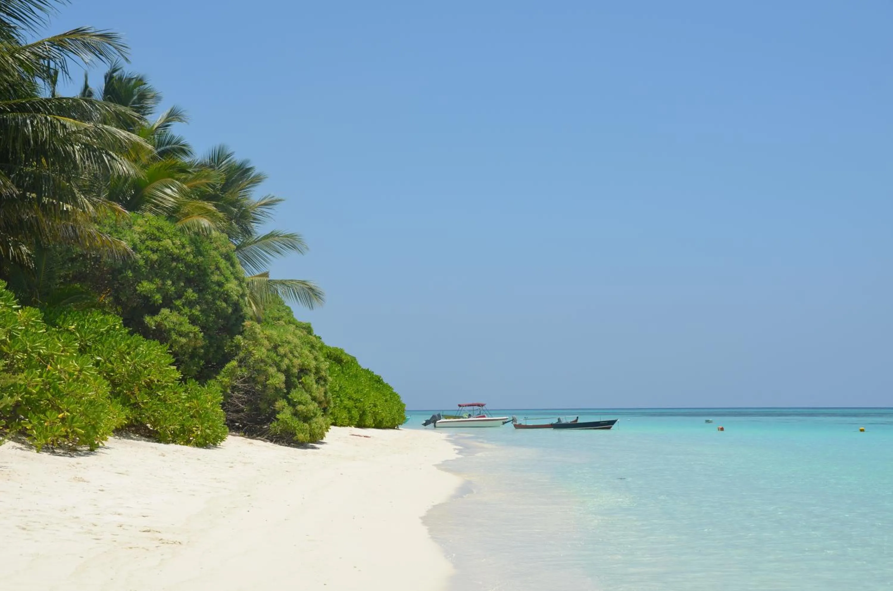Beach in Dive Villa Thoddoo