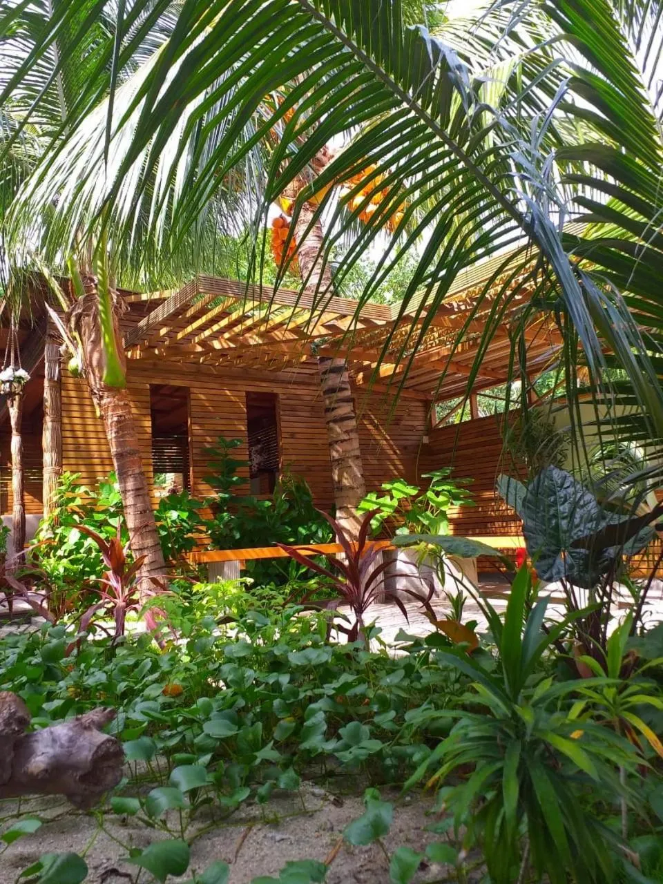 Garden in Dive Villa Thoddoo
