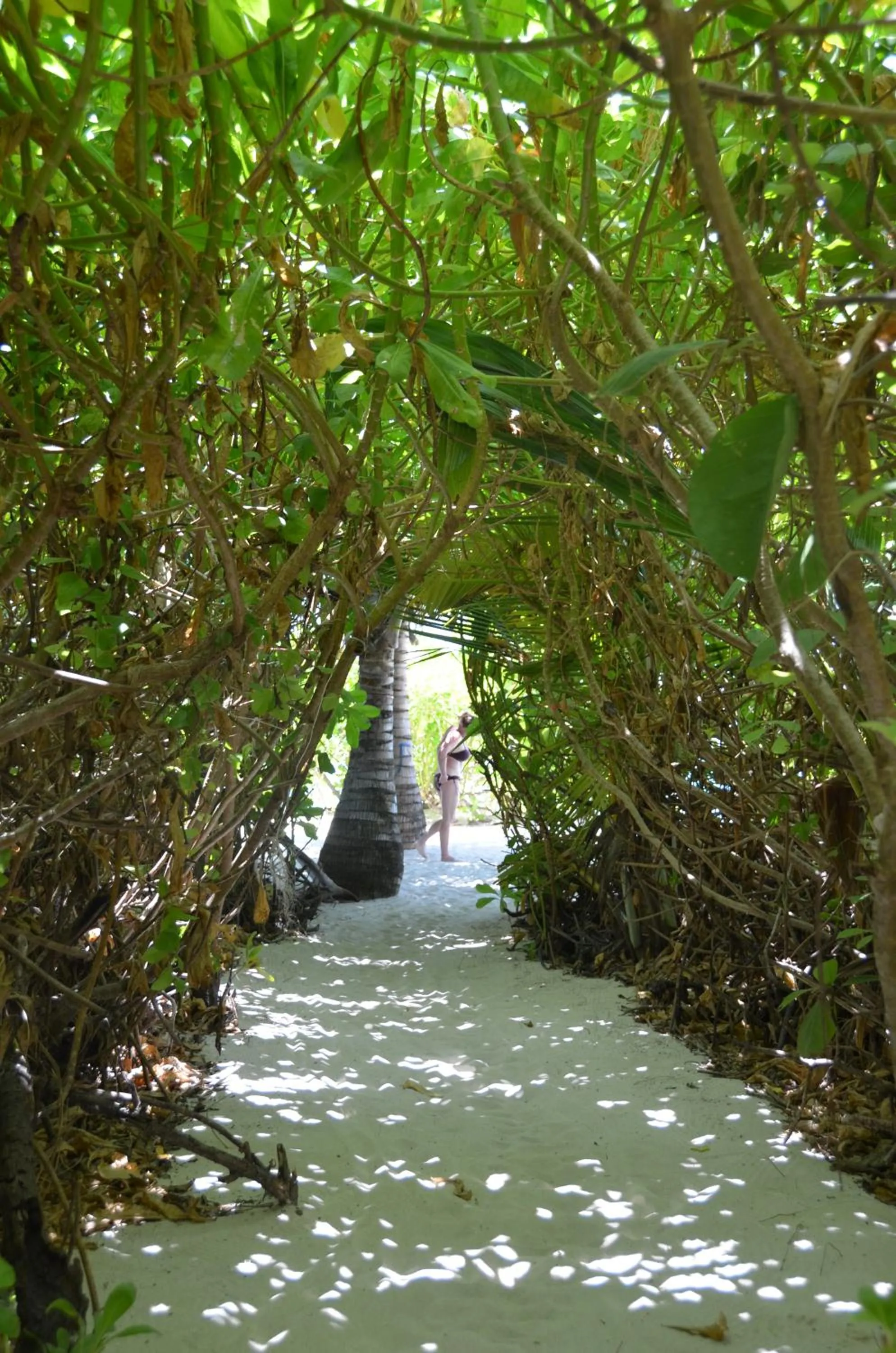Beach in Dive Villa Thoddoo