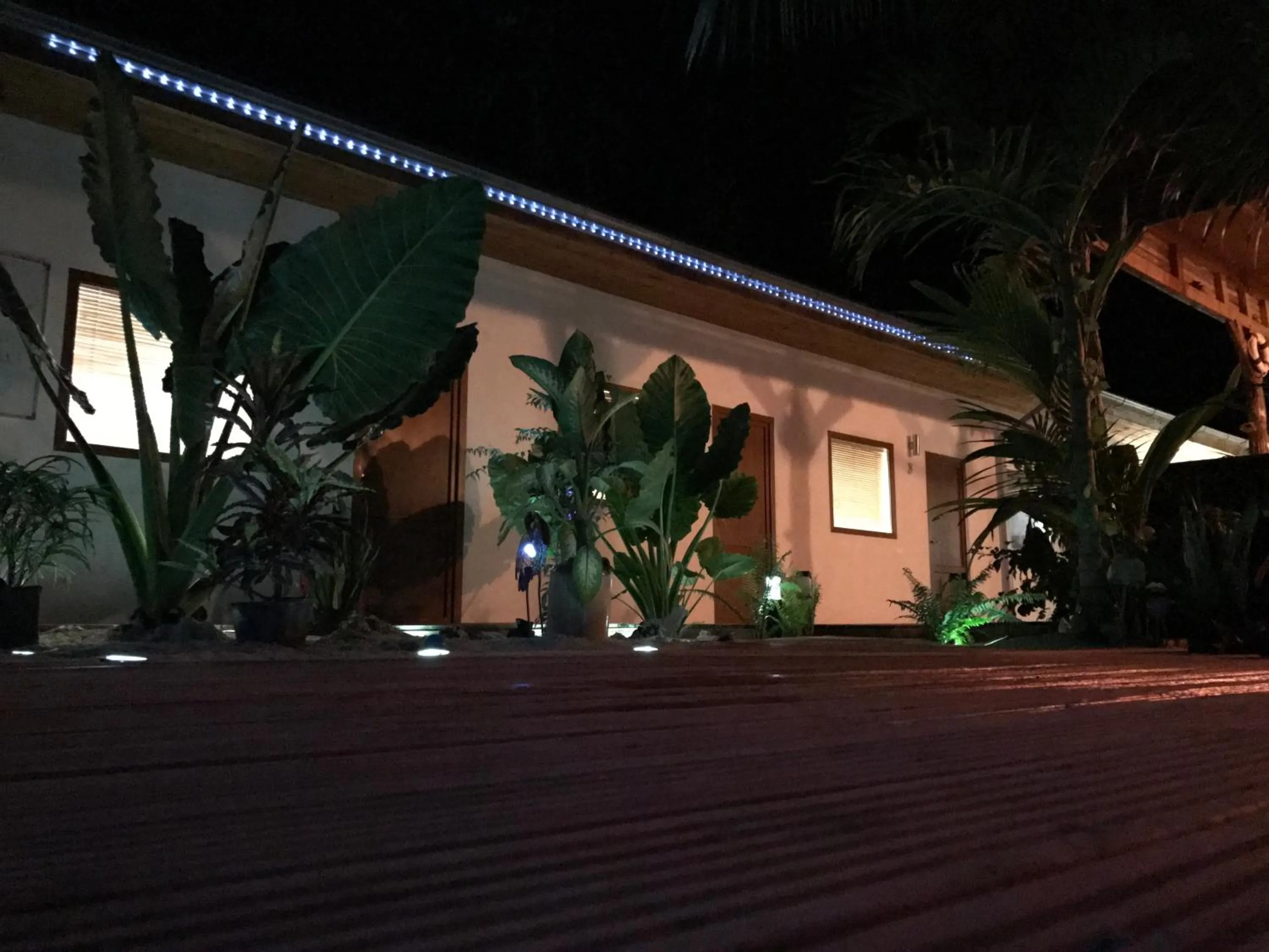Patio in Dive Villa Thoddoo