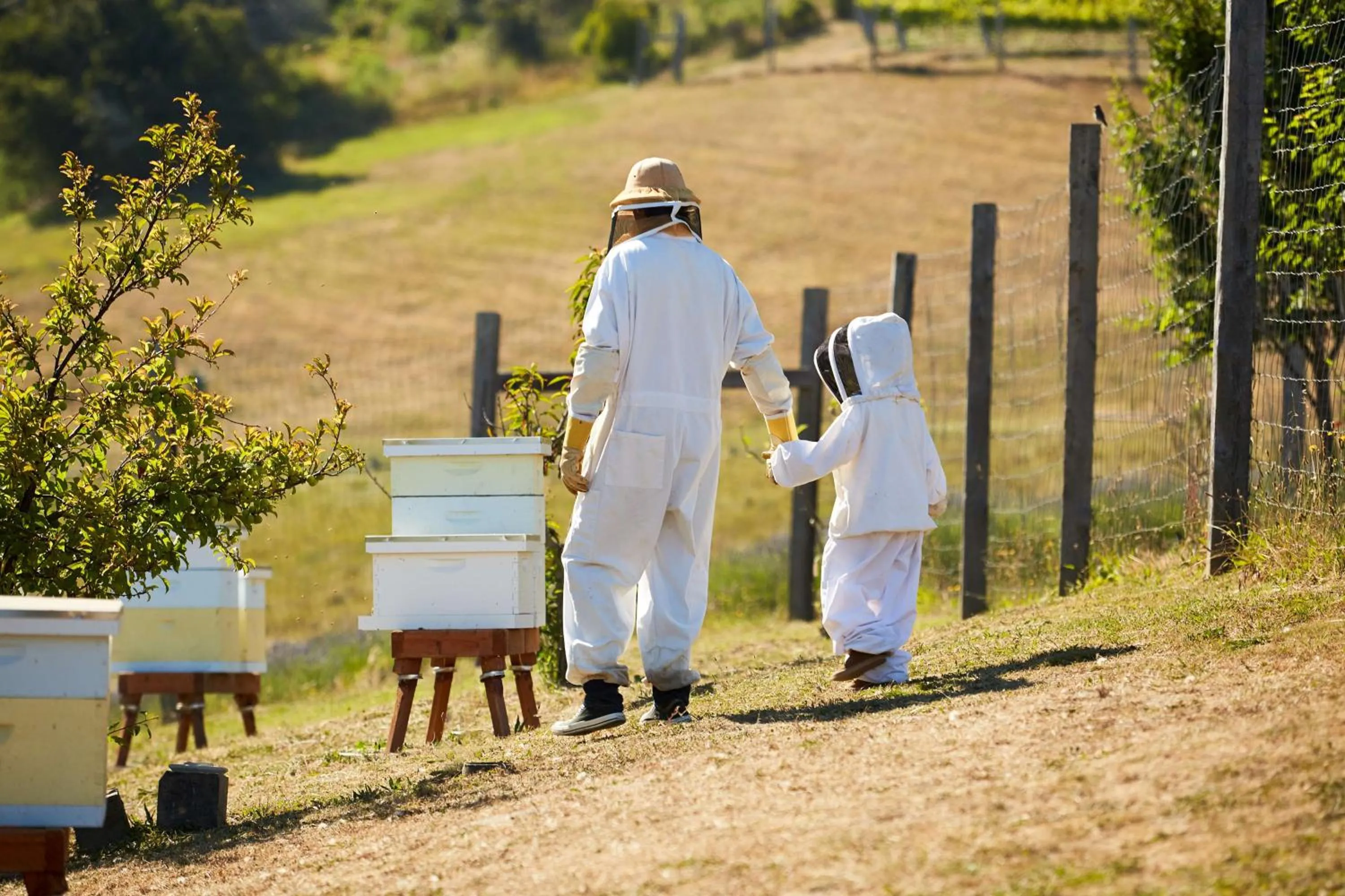 Location in Carmel Valley Ranch, in The Unbound Collection by Hyatt