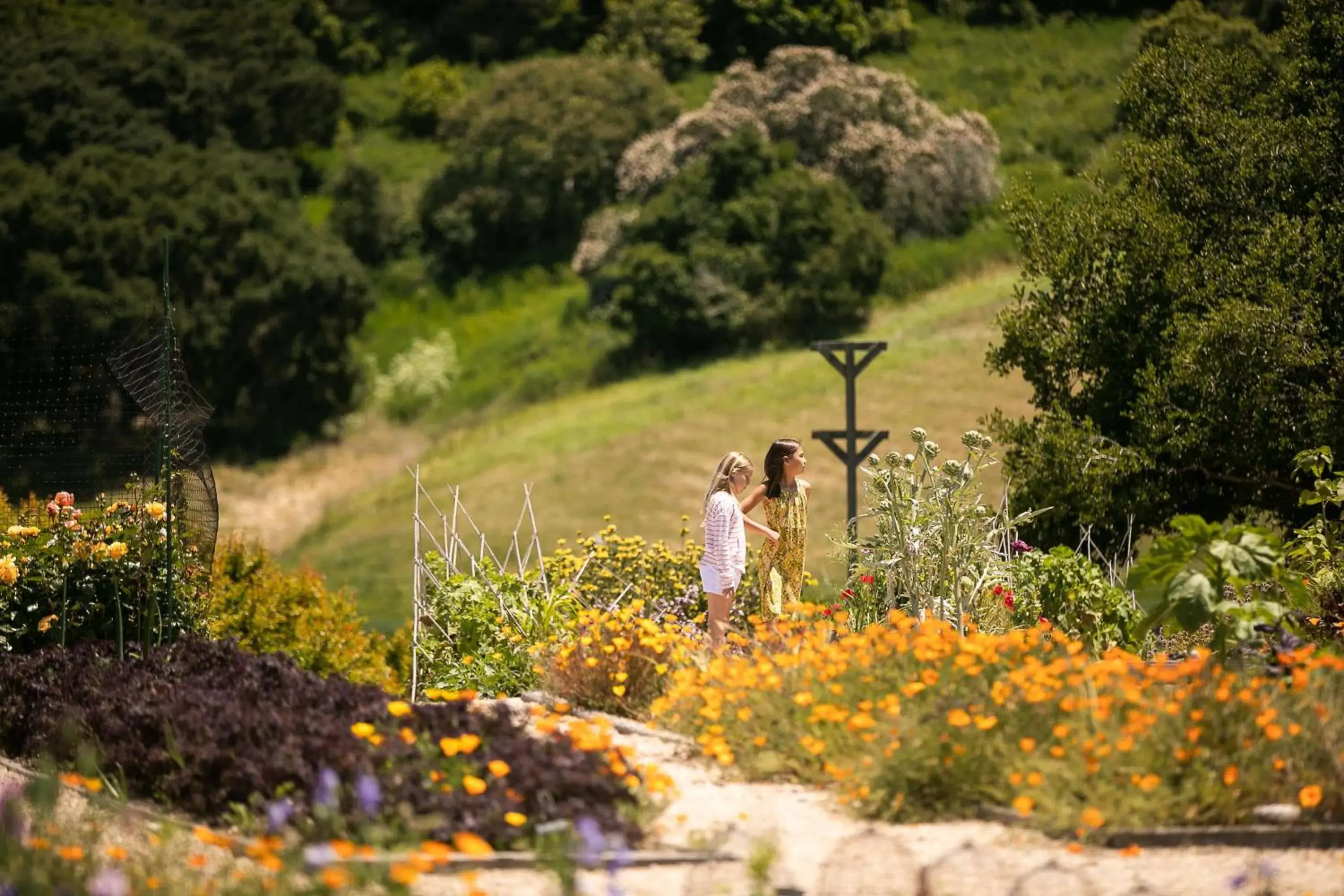 Carmel Valley Ranch, in The Unbound Collection by Hyatt Carmel Valley Ranch, in The Unbound Collection by Hyatt