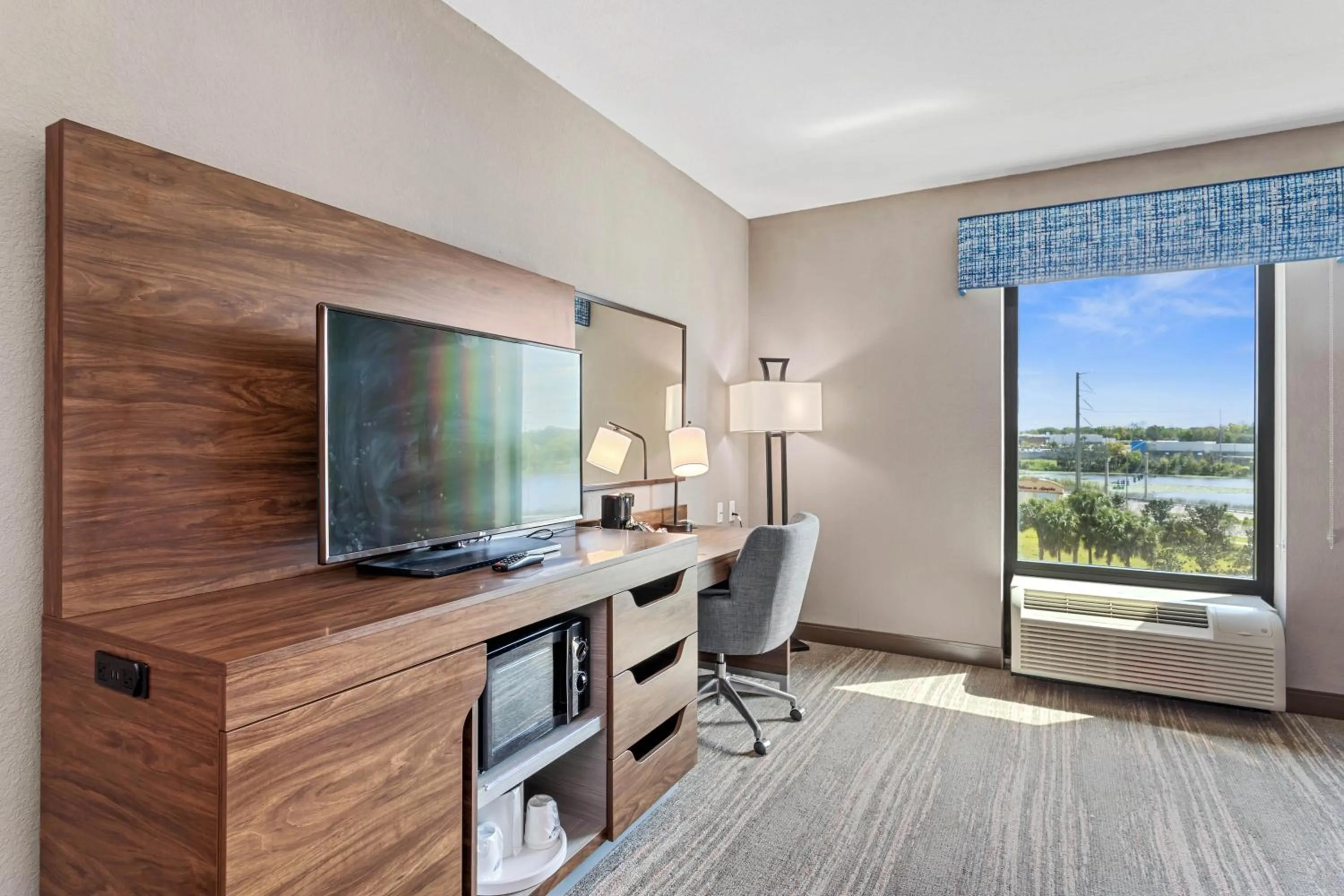 TV and multimedia in Hampton Inn & Suites Orlando-Apopka