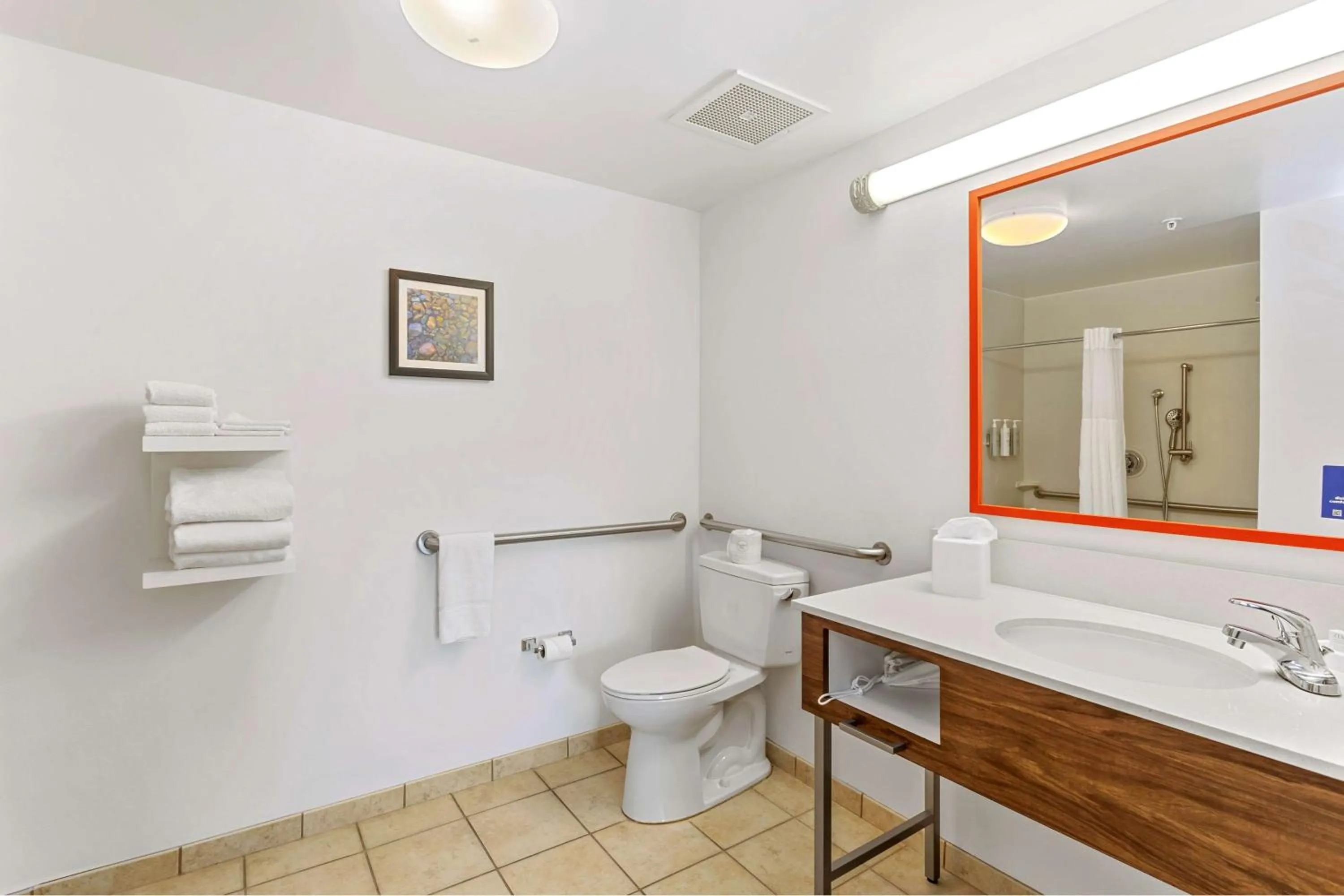 Bathroom in Hampton Inn & Suites Orlando-Apopka