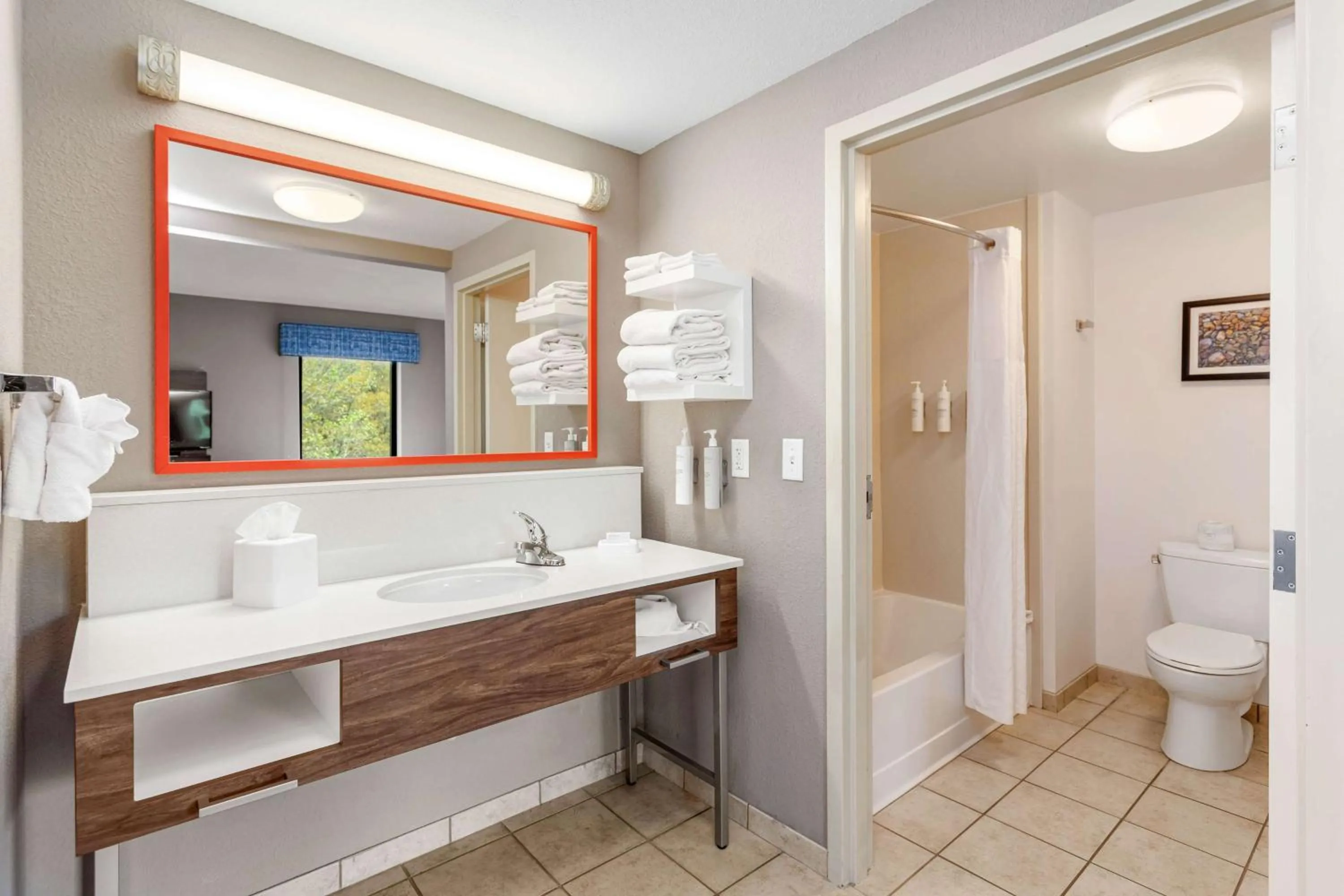 Bathroom in Hampton Inn & Suites Orlando-Apopka