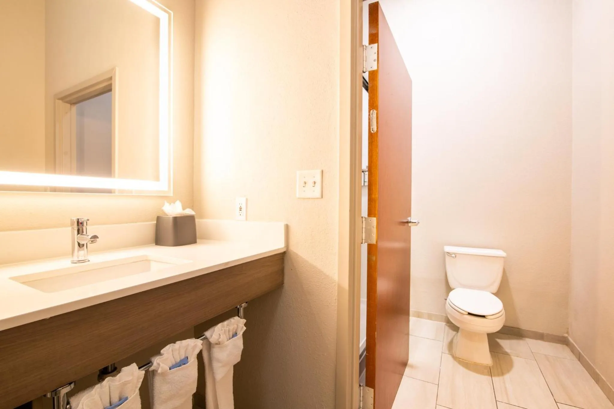 Bathroom in Holiday Inn Express & Suites College Station by IHG