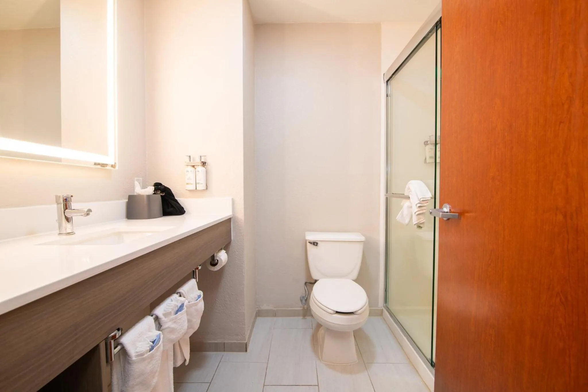 Bathroom in Holiday Inn Express & Suites College Station by IHG