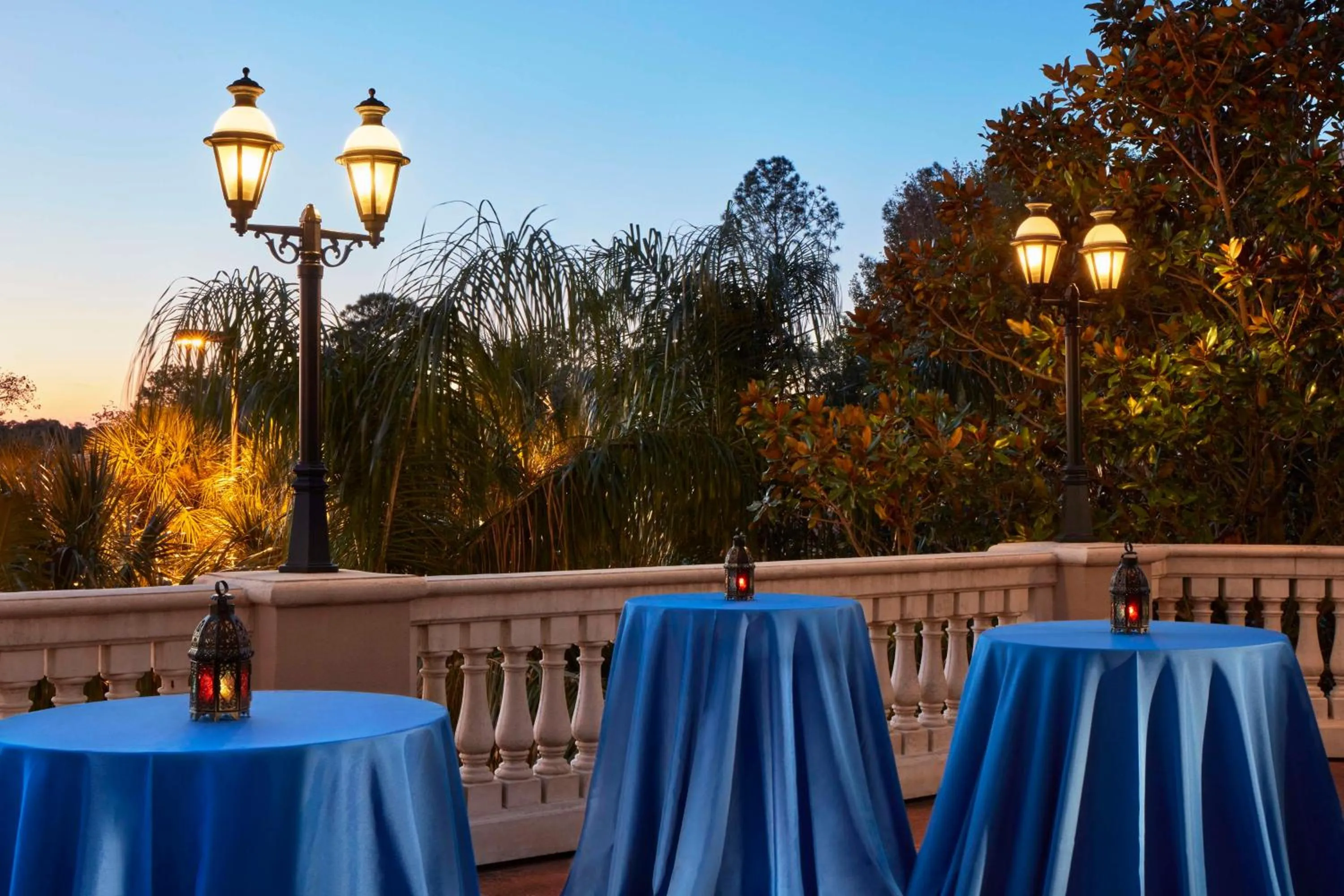 Garden in DoubleTree by Hilton Hotel Orlando at SeaWorld