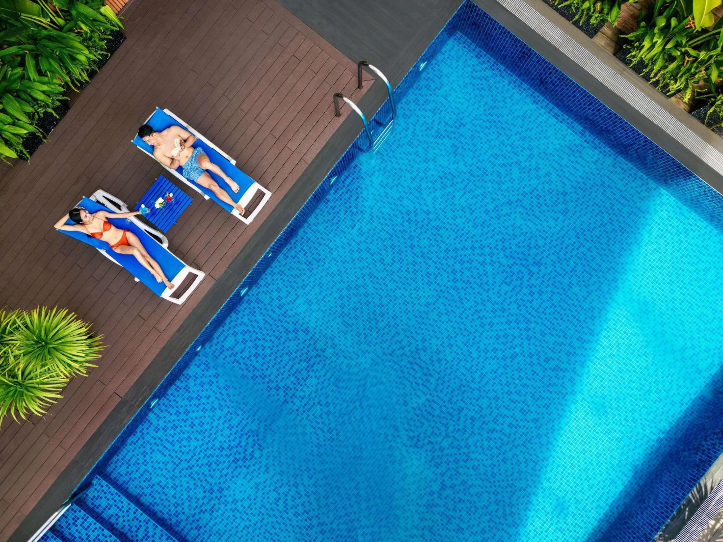 Lounge or bar in Novotel Nha Trang