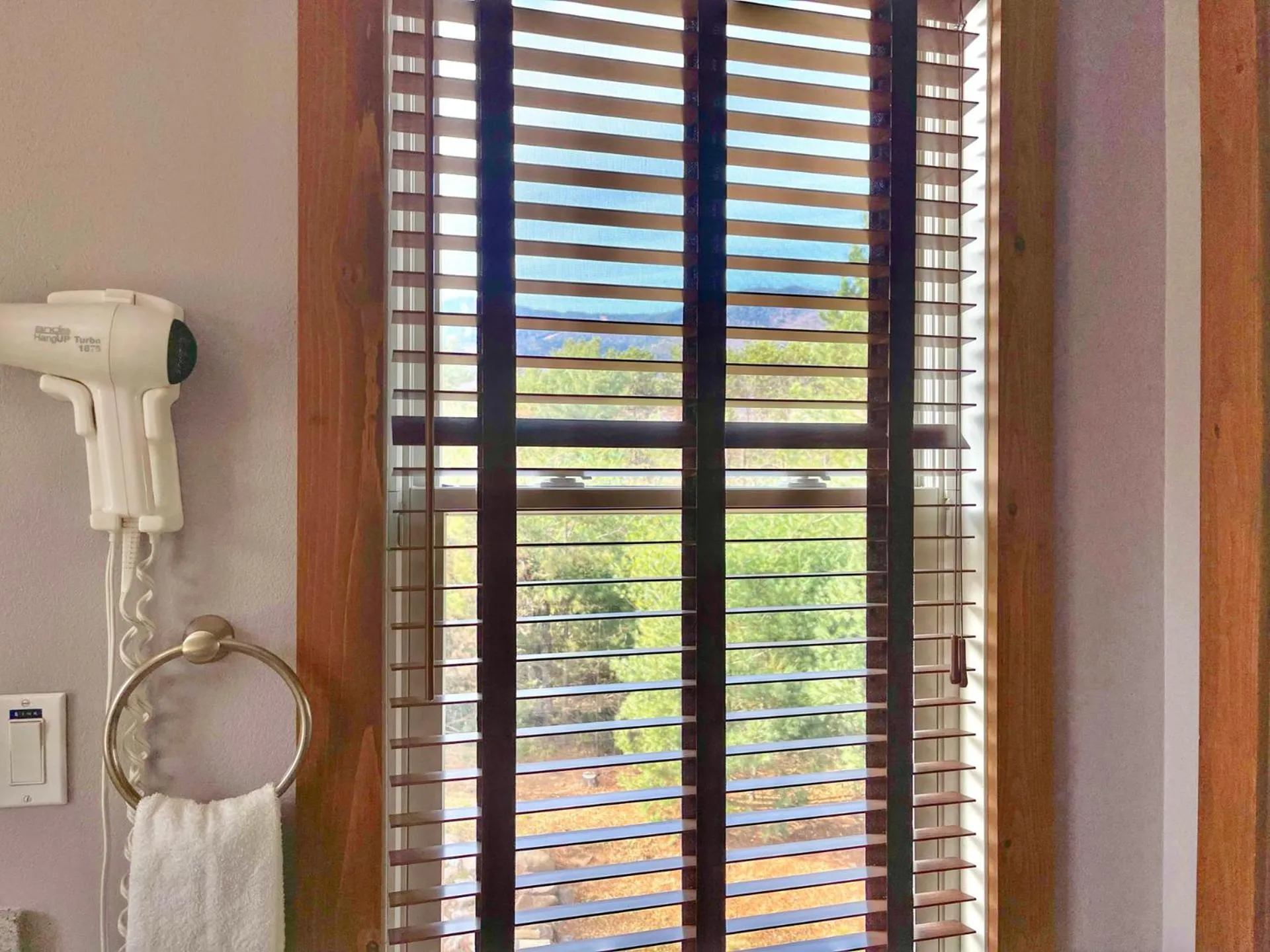 View (from property/room) in Whiteface Mountain Chalet
