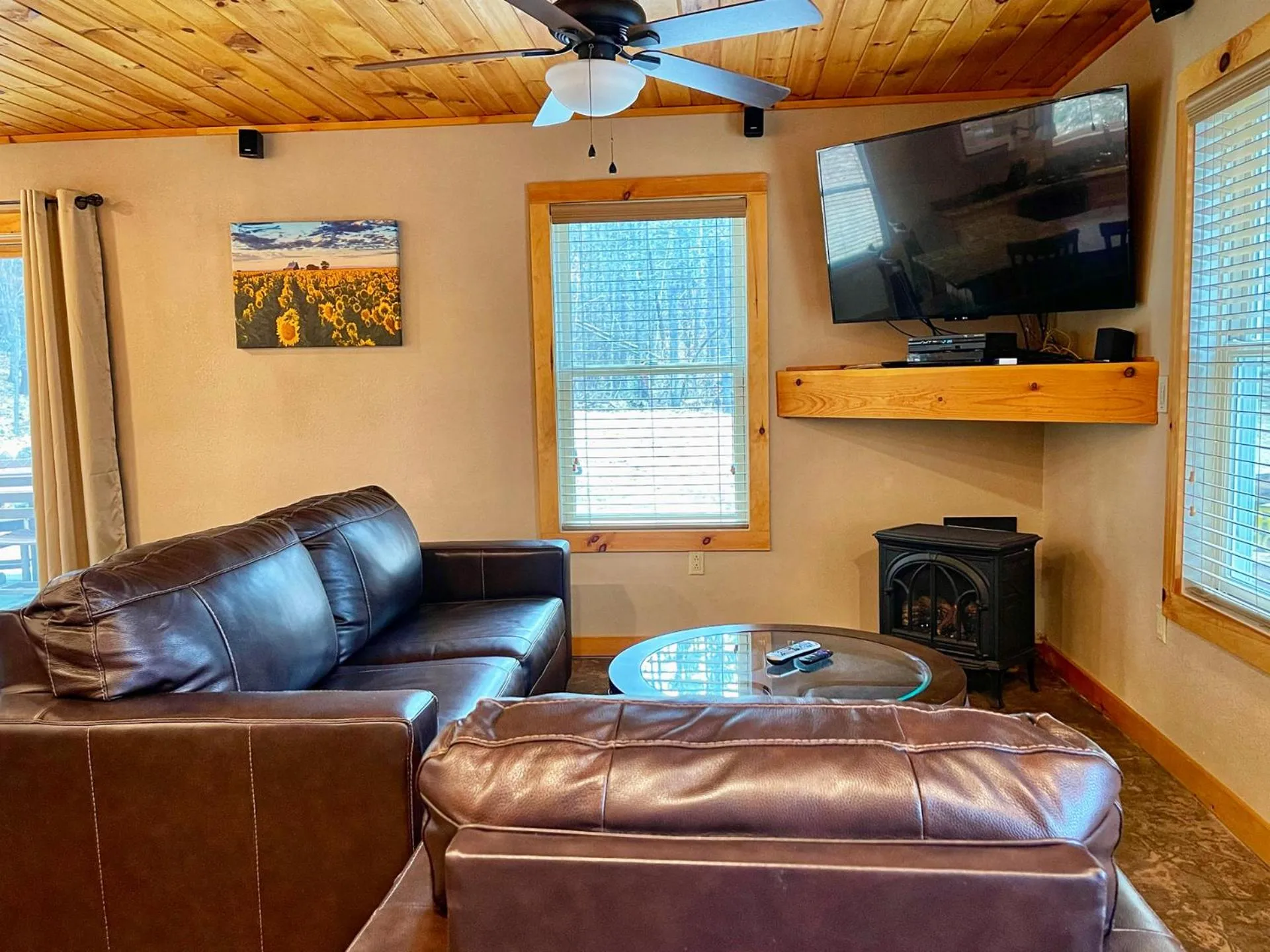TV and multimedia in Cascade Mountain Chalet
