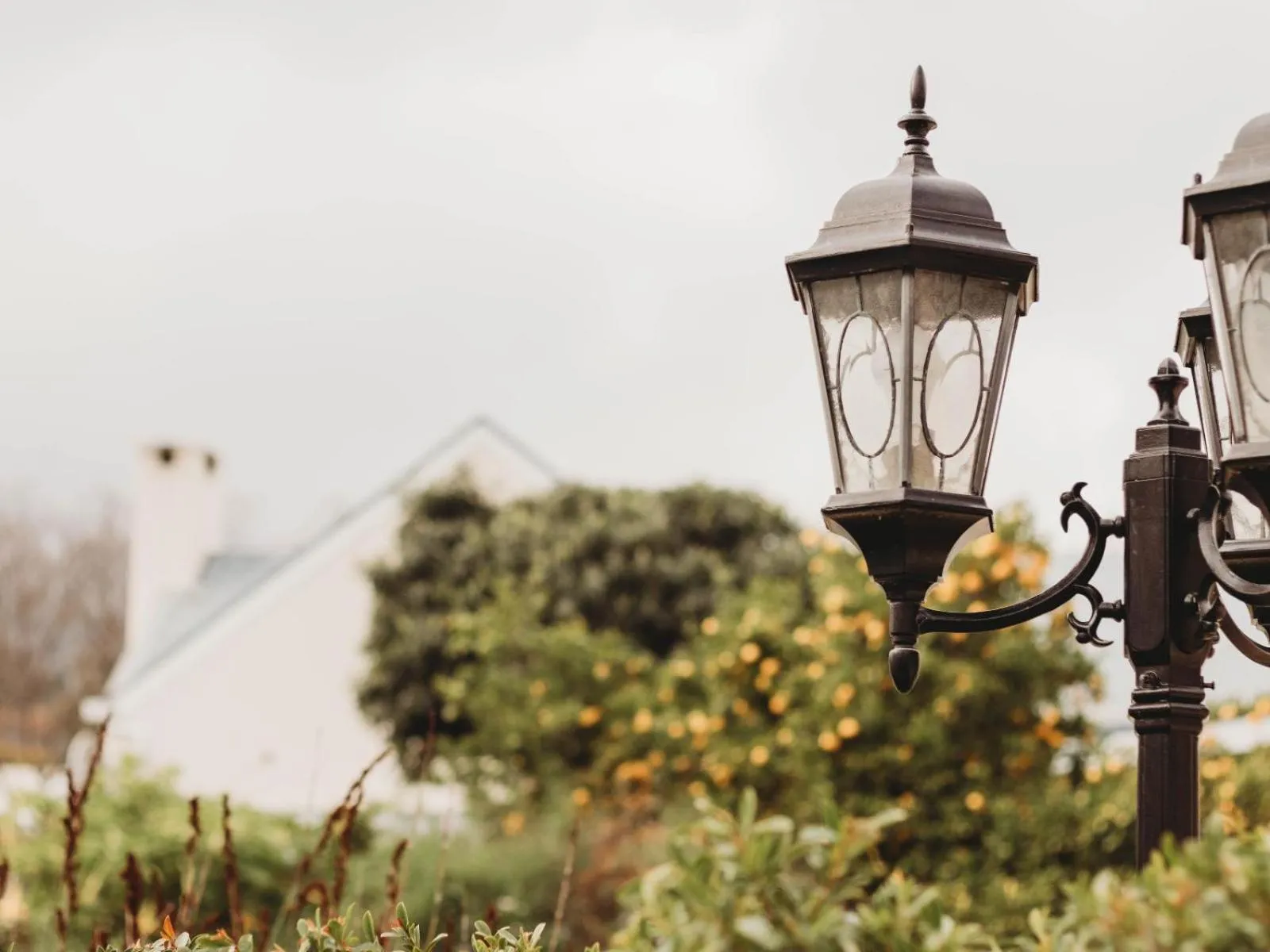 Garden in Le Petit Paris