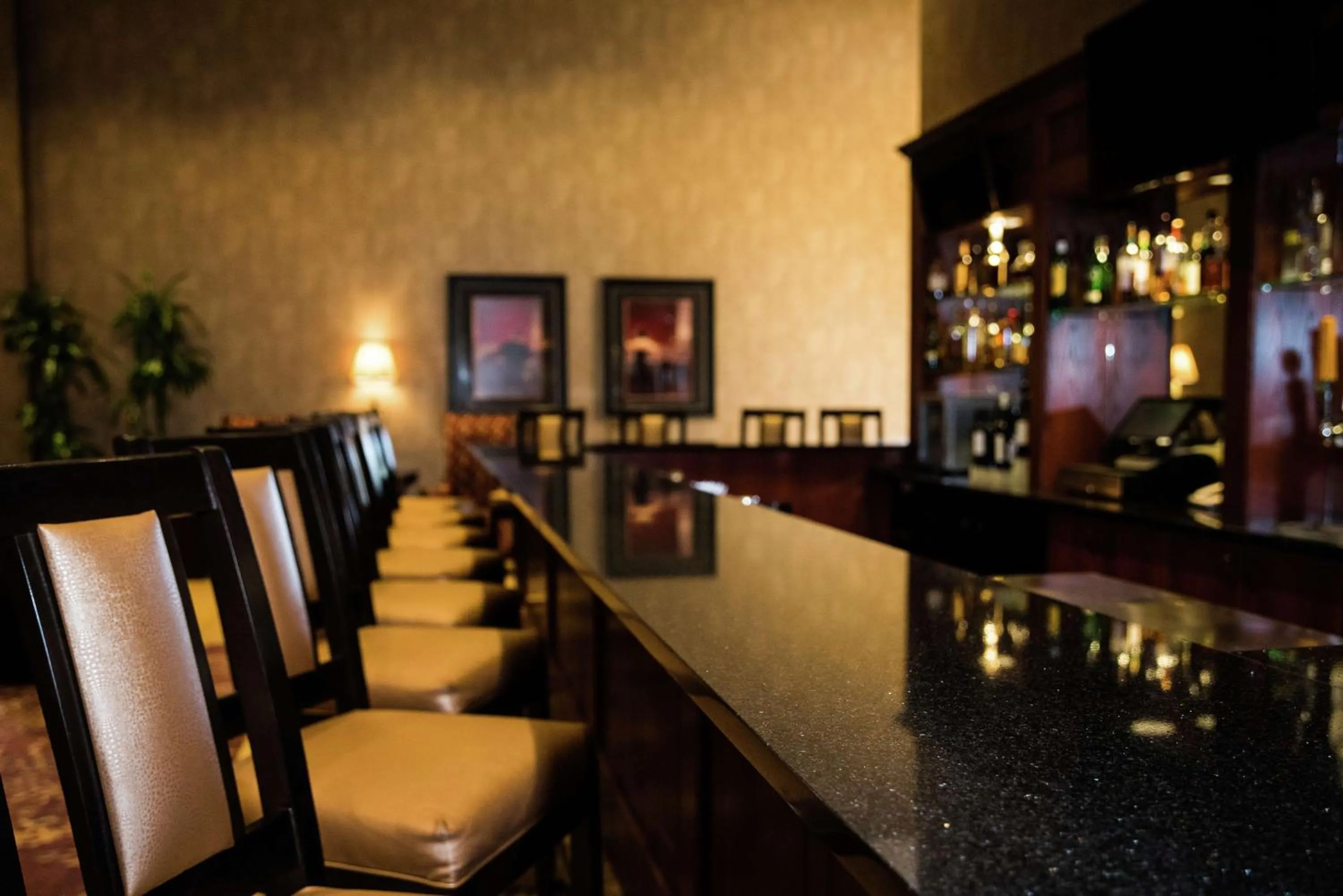 Lounge or bar in Embassy Suites by Hilton Minneapolis North