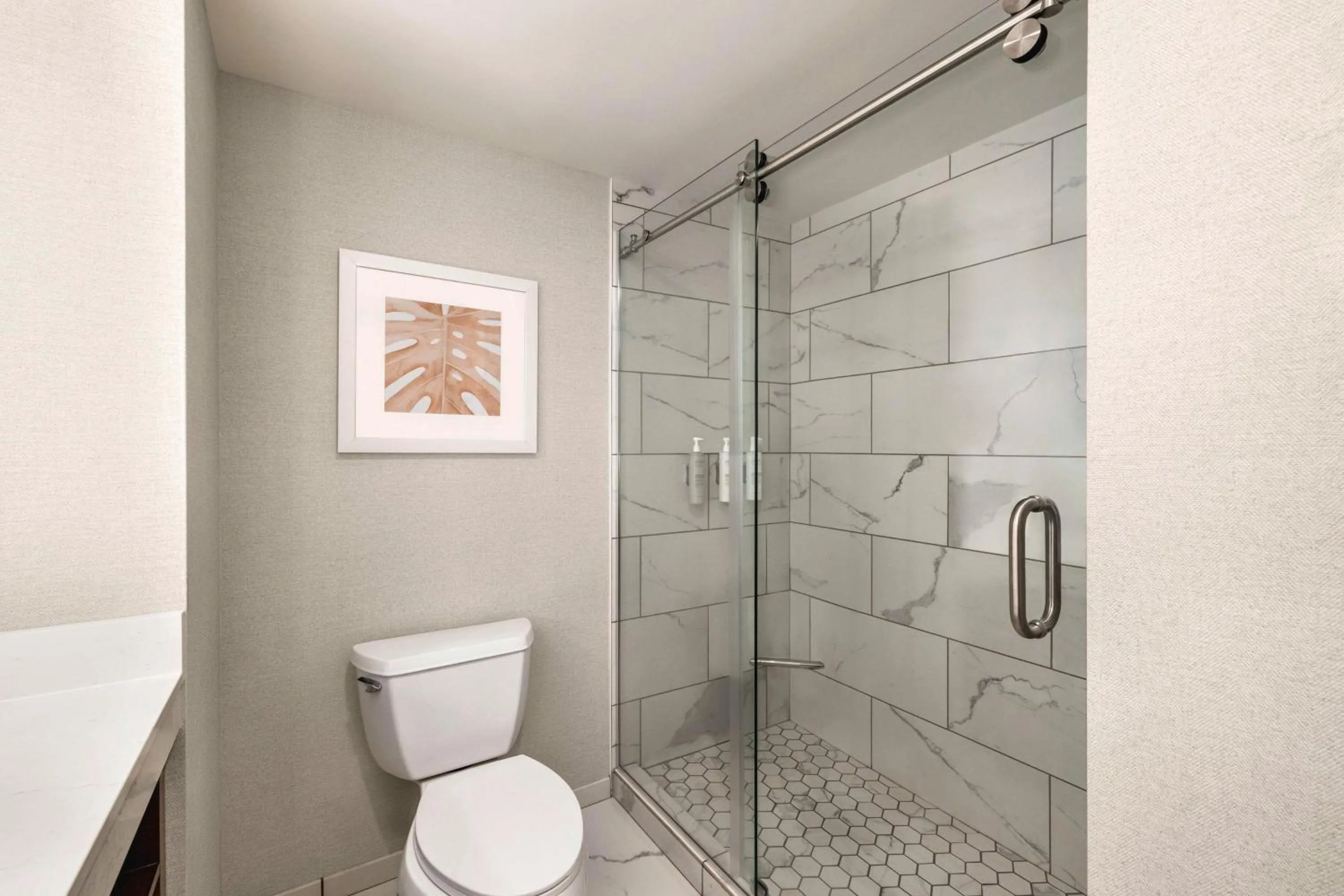 Bathroom in Hampton Inn Virginia Beach-Oceanfront South