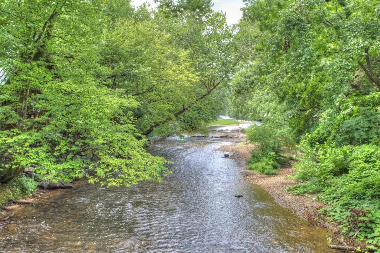Natural landscape in Hofbrau Riverfront Hotel