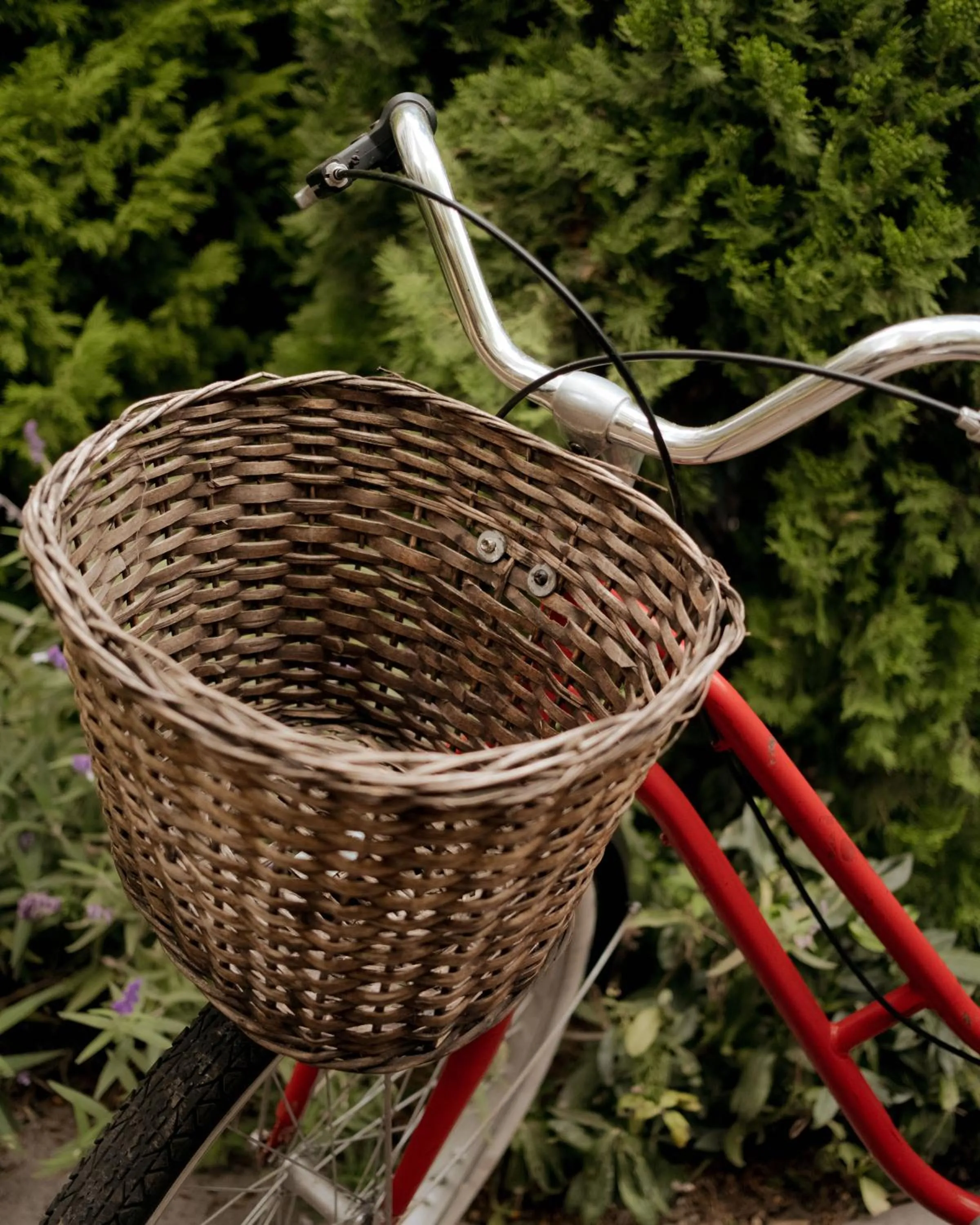 Activities in Atemporal by Andean