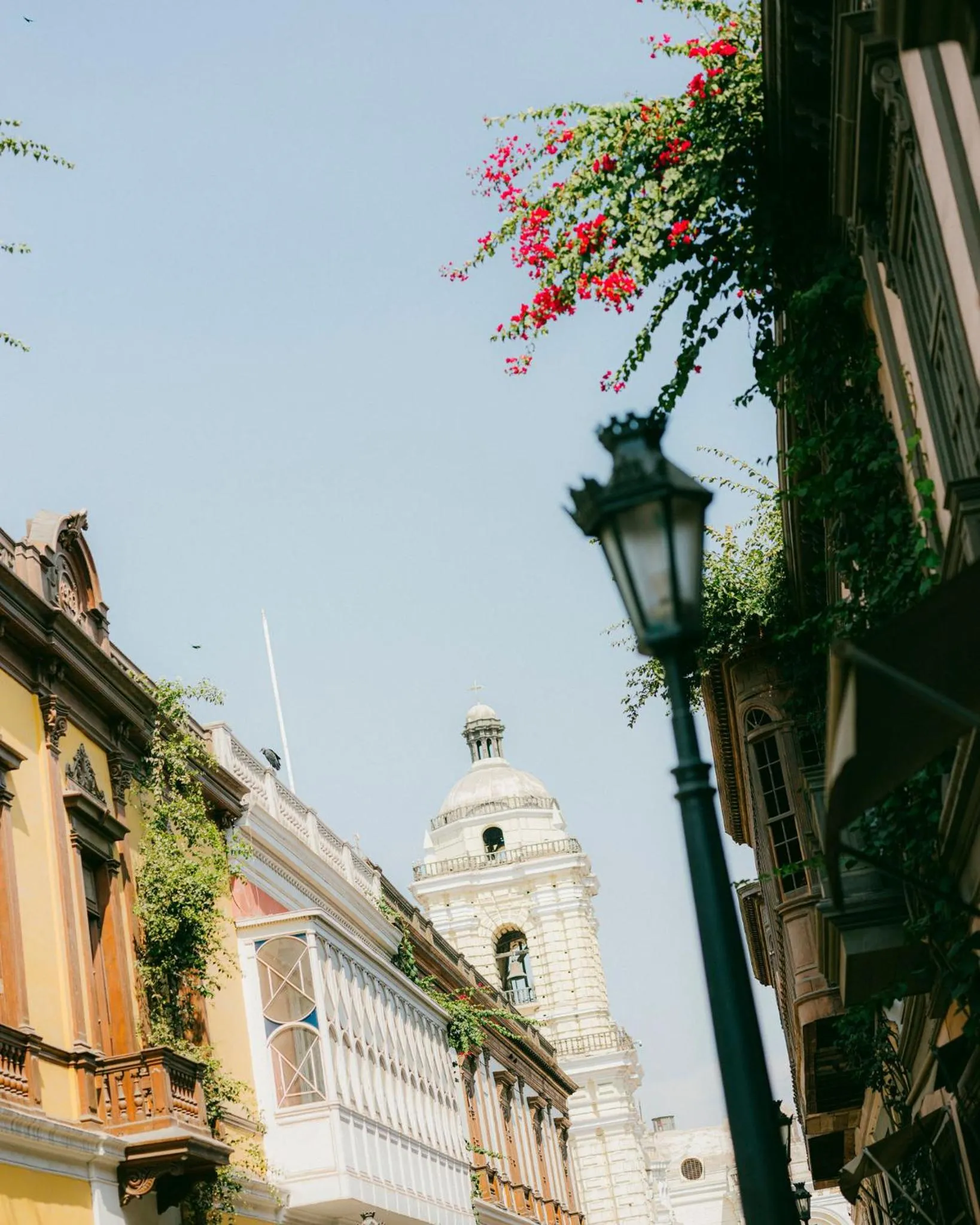 Day in Atemporal by Andean