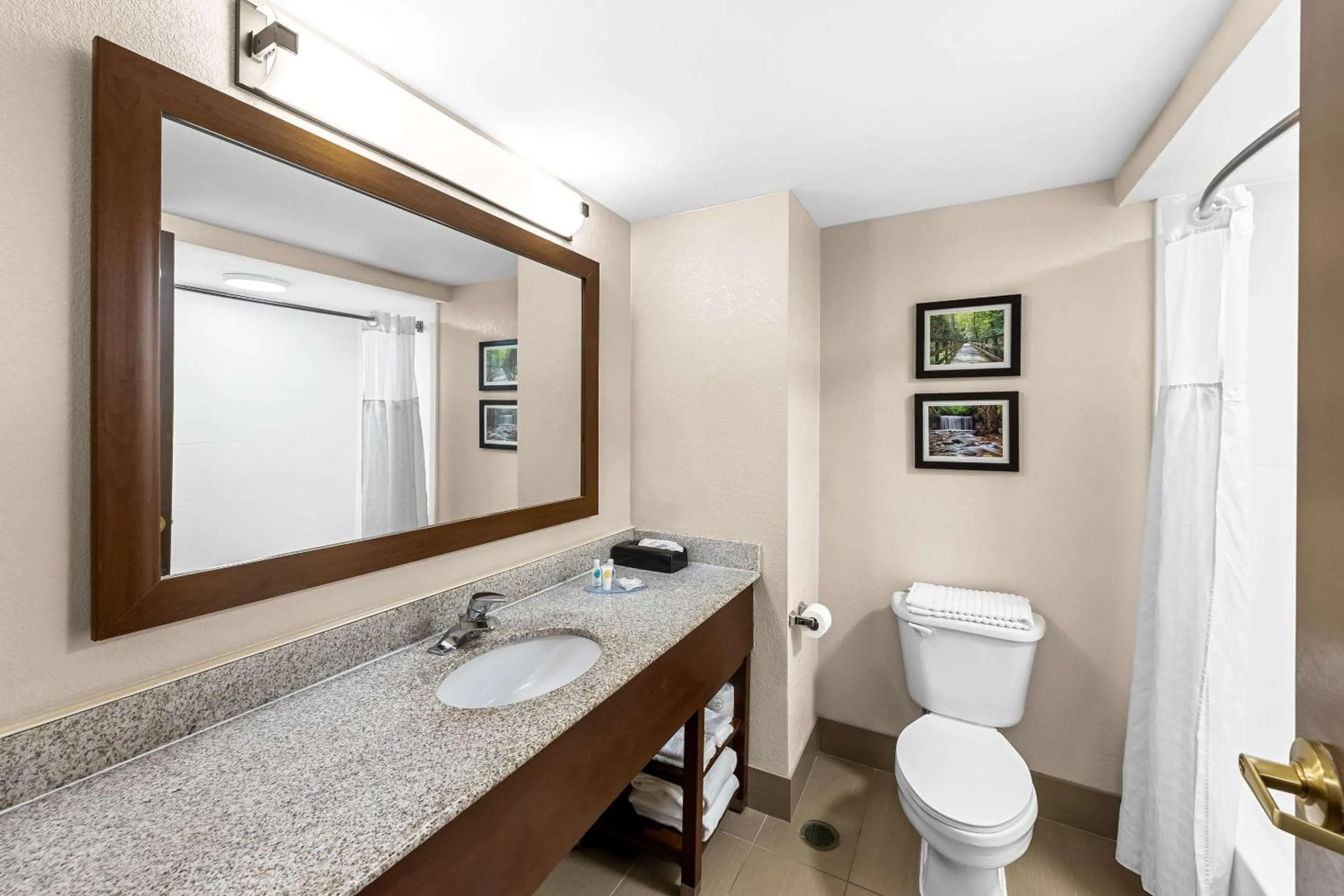Bathroom in Comfort Inn & Suites Heath - Newark South