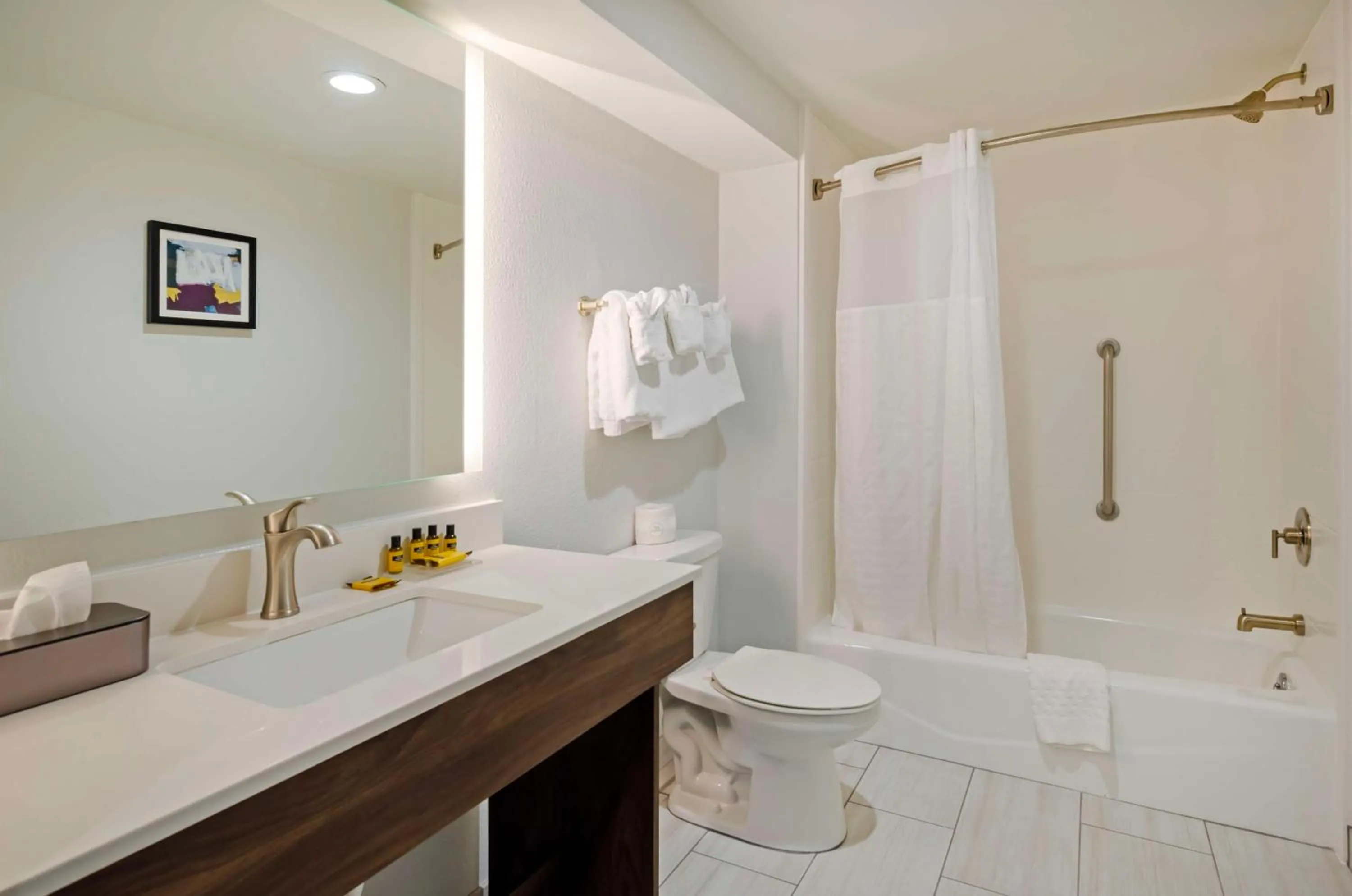 Bathroom in Best Western Plus Harrisonburg