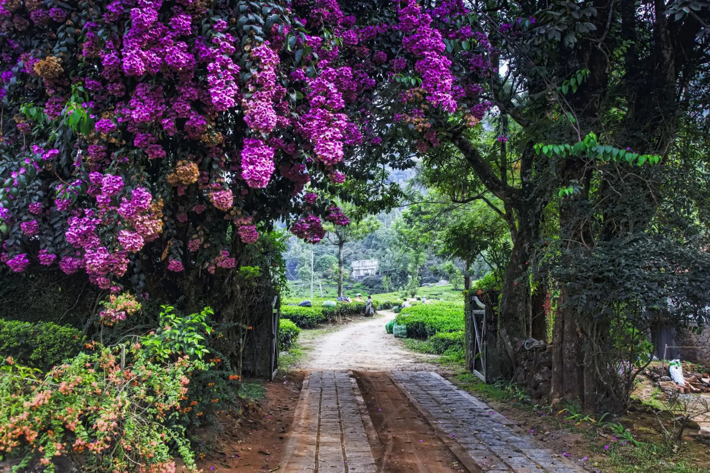 Facade/entrance in Windermere Estate