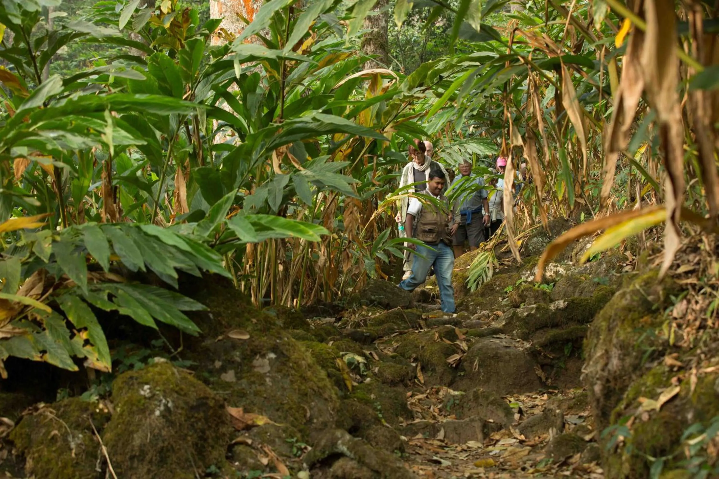 Staff in Windermere Estate