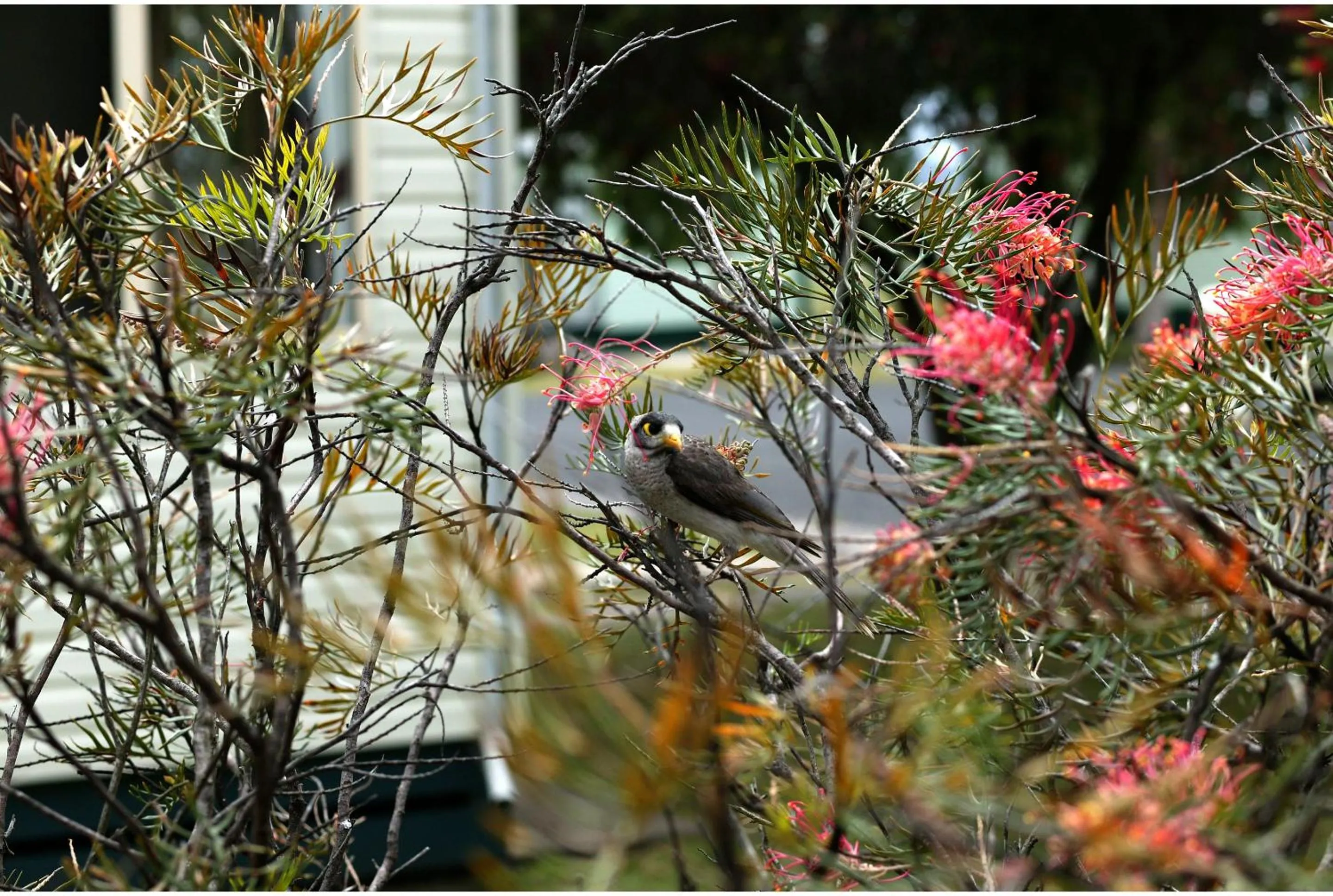 Garden view in Discovery Parks - Casino