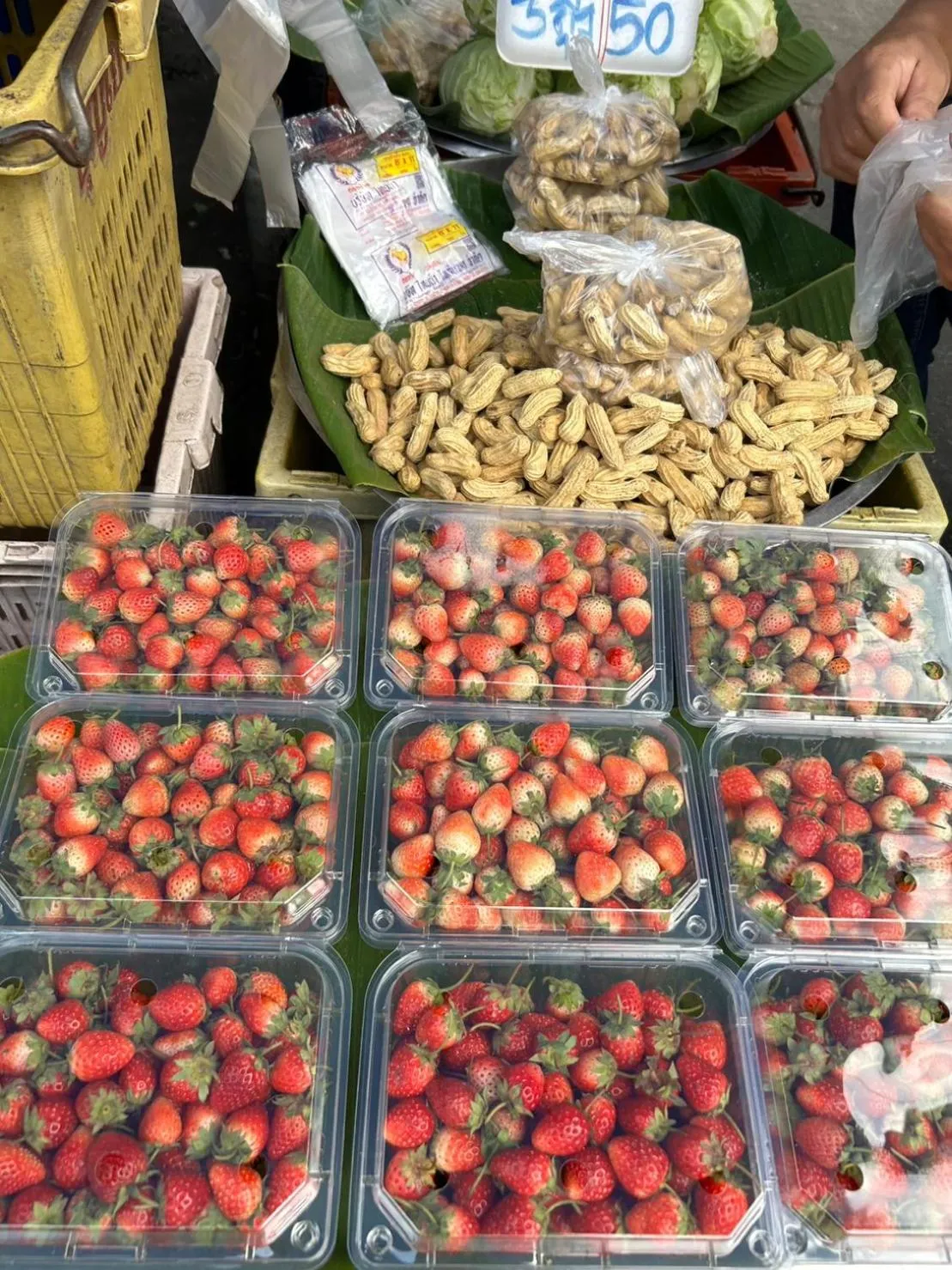 Food and drinks in Chiangmai HomeTeL