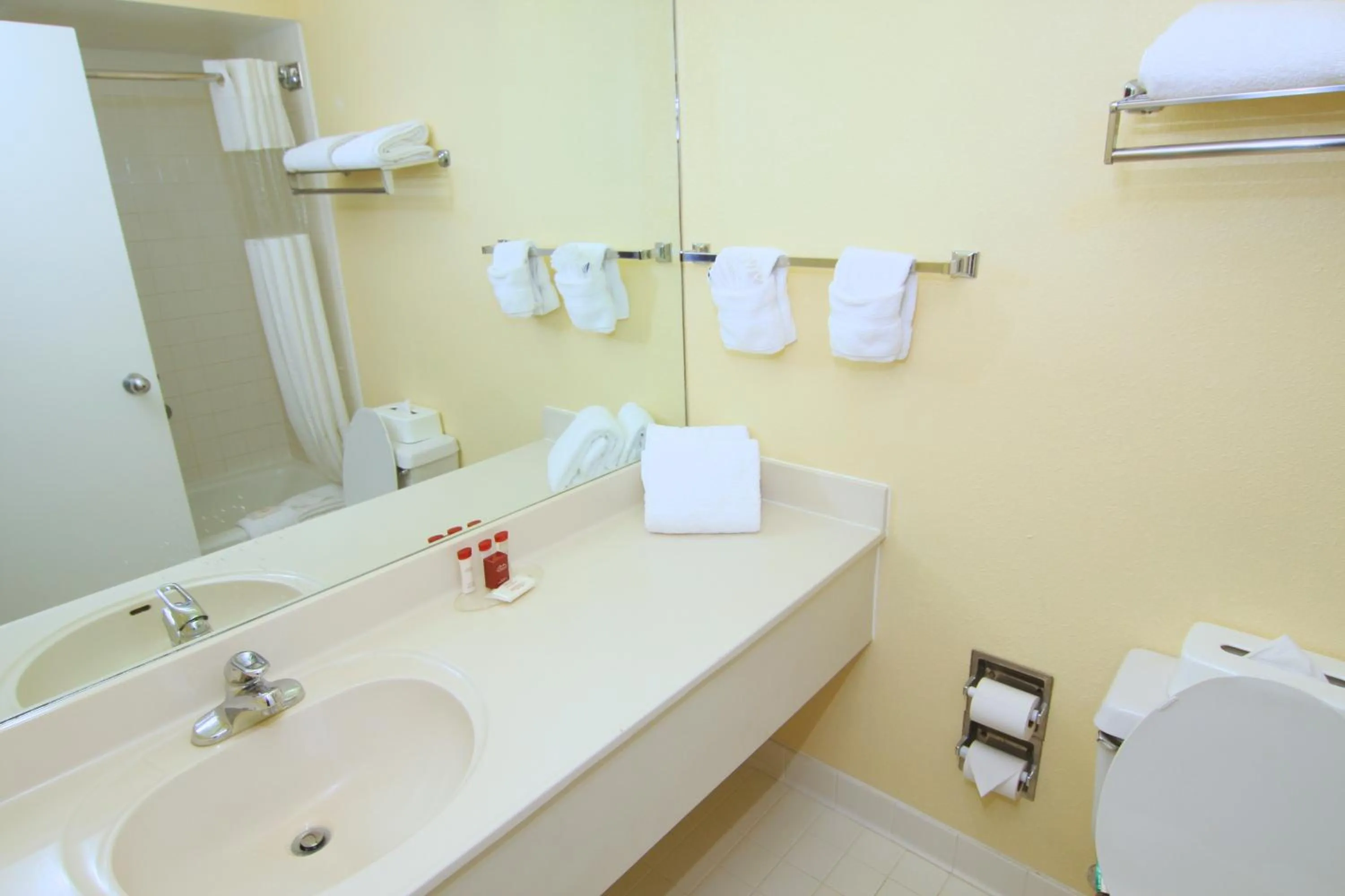 Bathroom in Ramada by Wyndham Kissimmee Gateway - Free Theme Park Shuttle