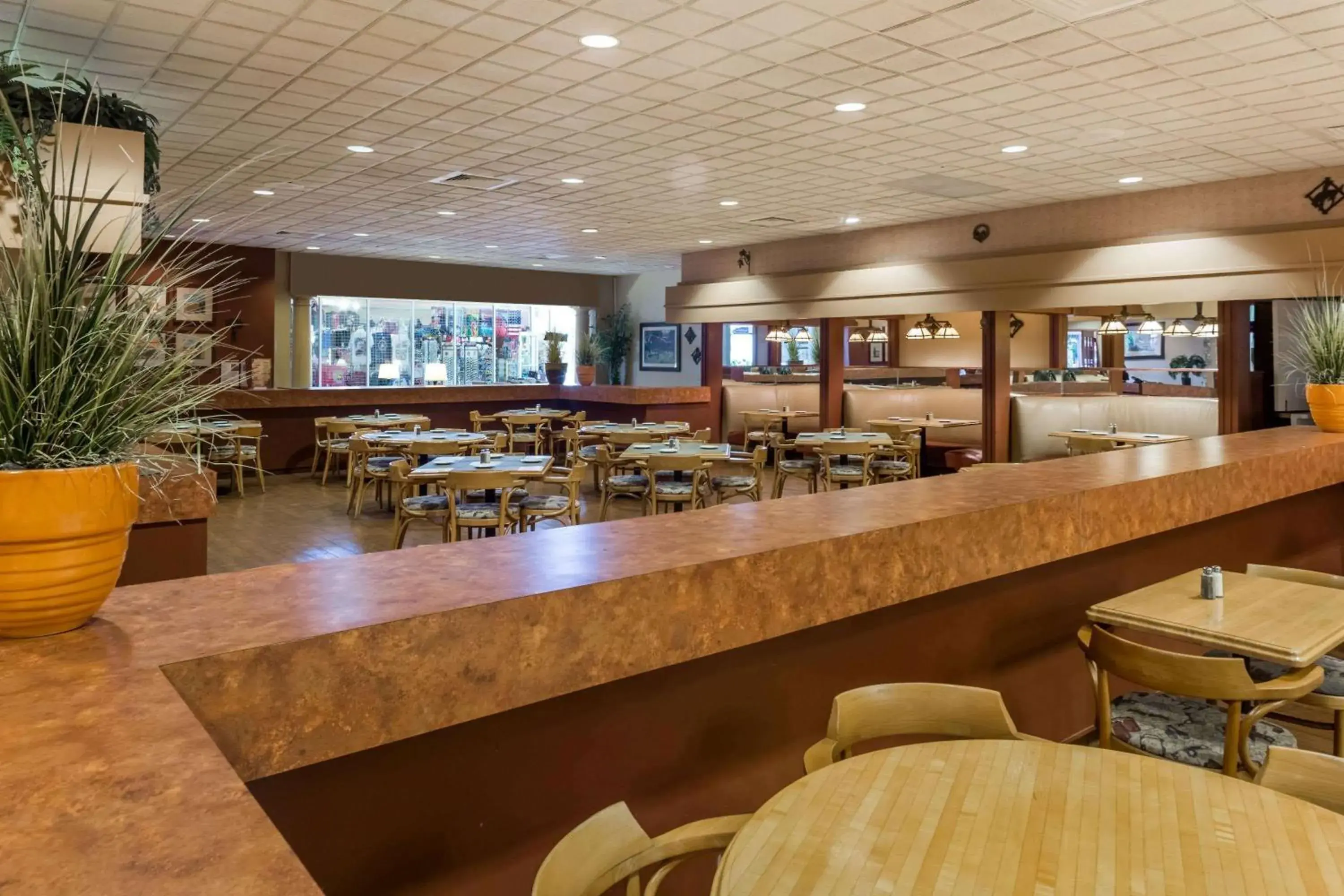 Restaurant/places to eat in Ramada by Wyndham Kissimmee Gateway - Free Theme Park Shuttle Restaurant/places to eat in Ramada by Wyndham Kissimmee Gateway - Free Theme Park Shuttle