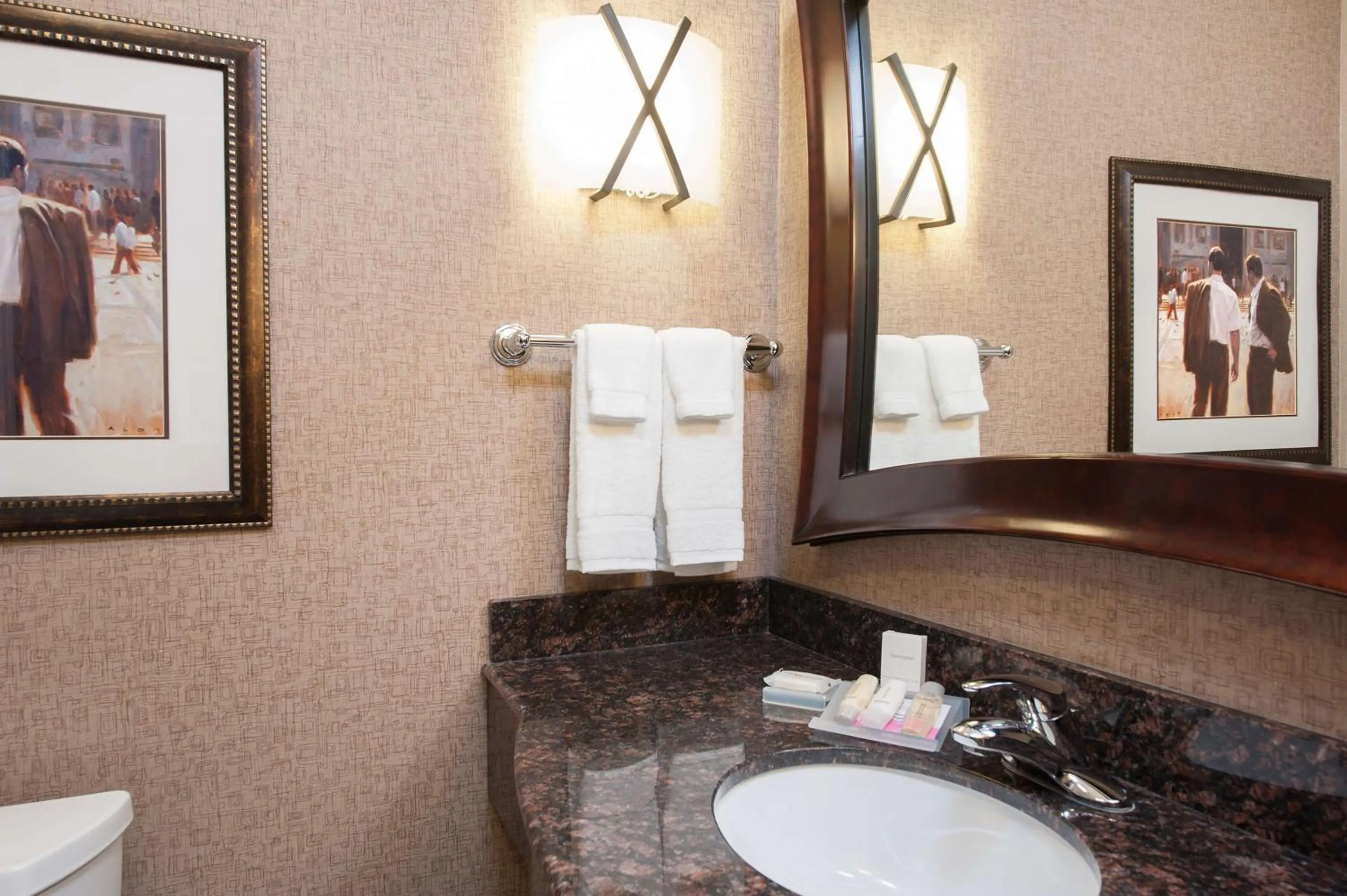 Bathroom in Hilton Garden Inn Indianapolis South/Greenwood