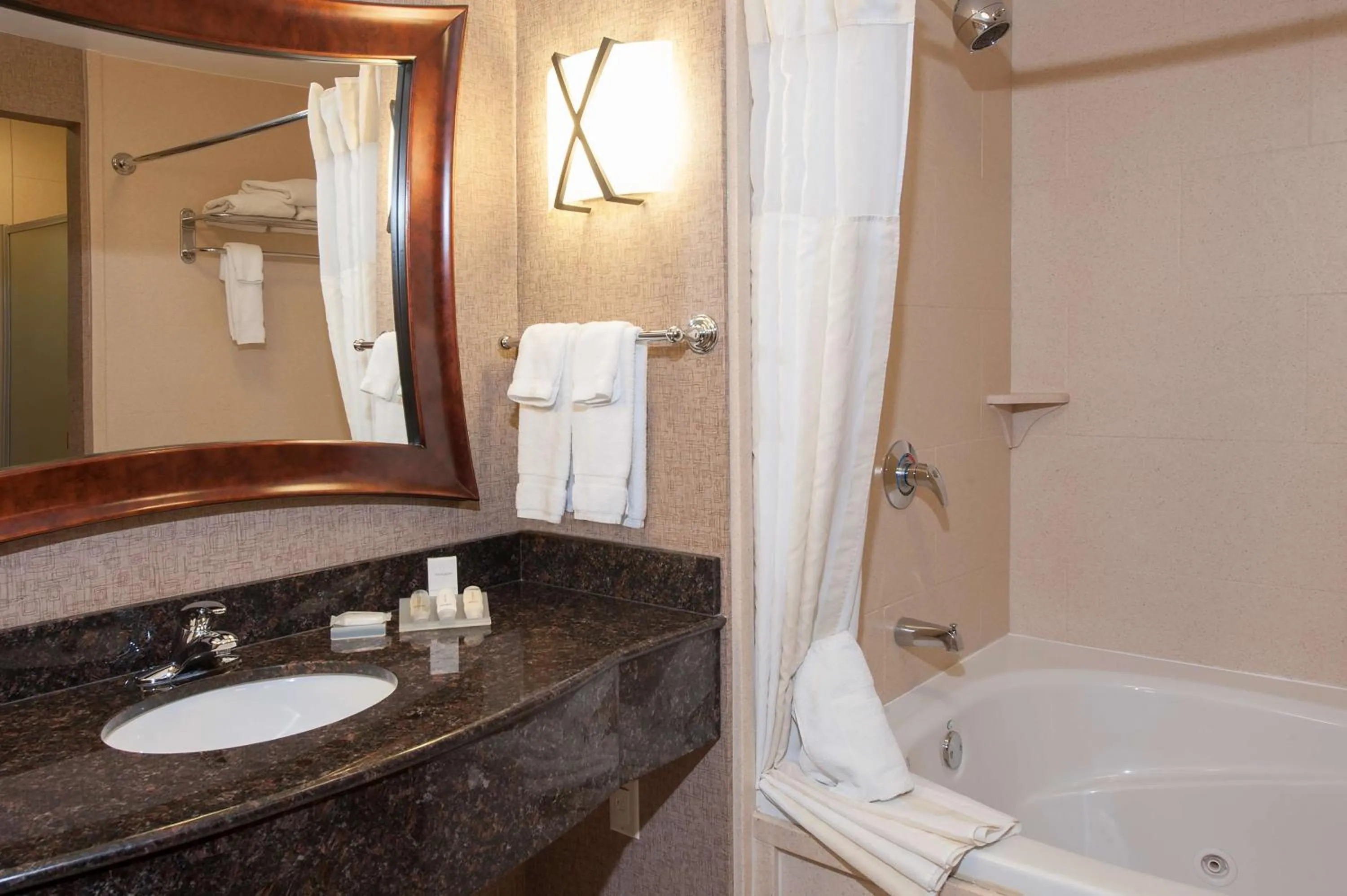 Bathroom in Hilton Garden Inn Indianapolis South/Greenwood