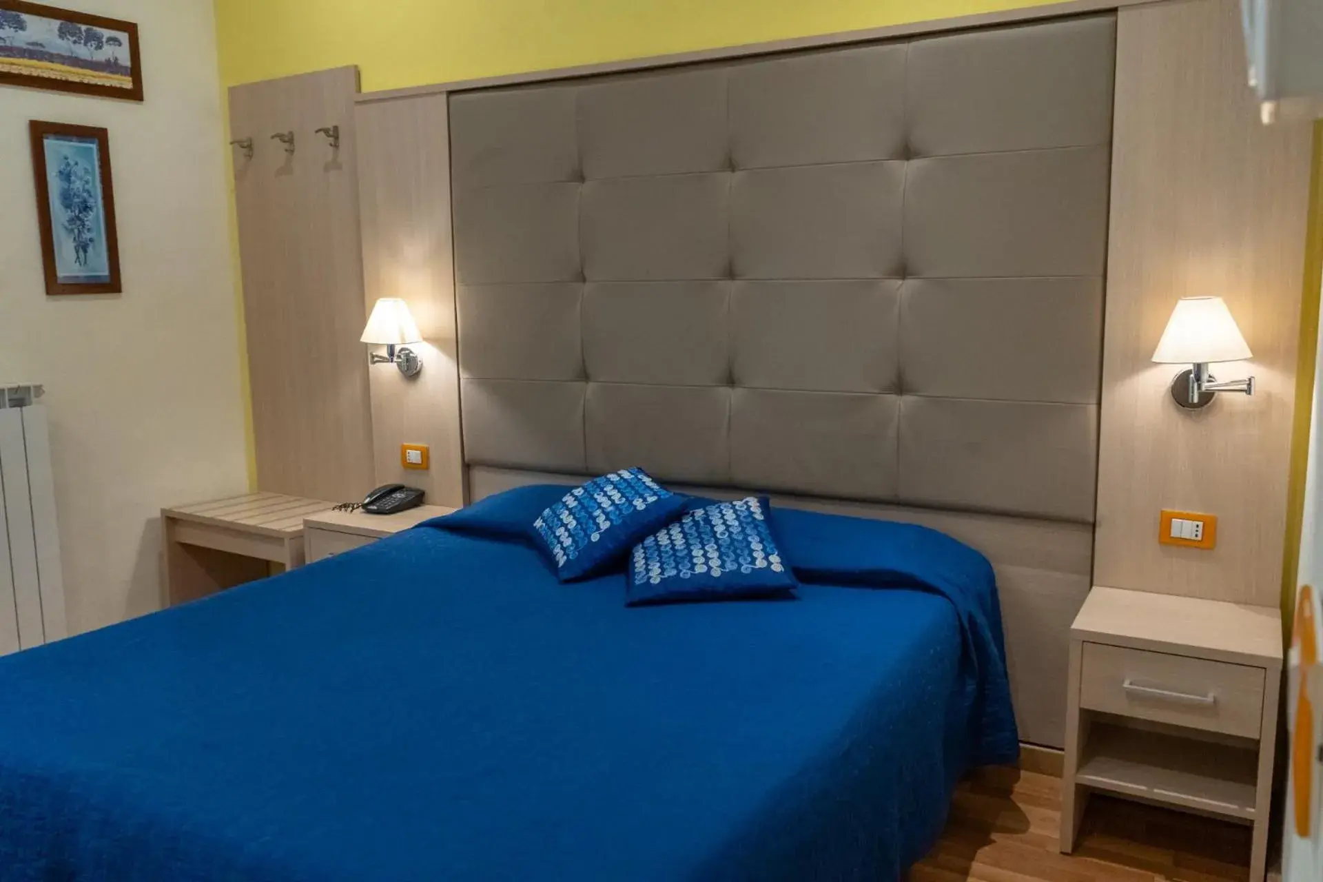 Double or Twin Room - single occupancy in Hotel Alexander & Spa Double or Twin Room - single occupancy in Hotel Alexander & Spa