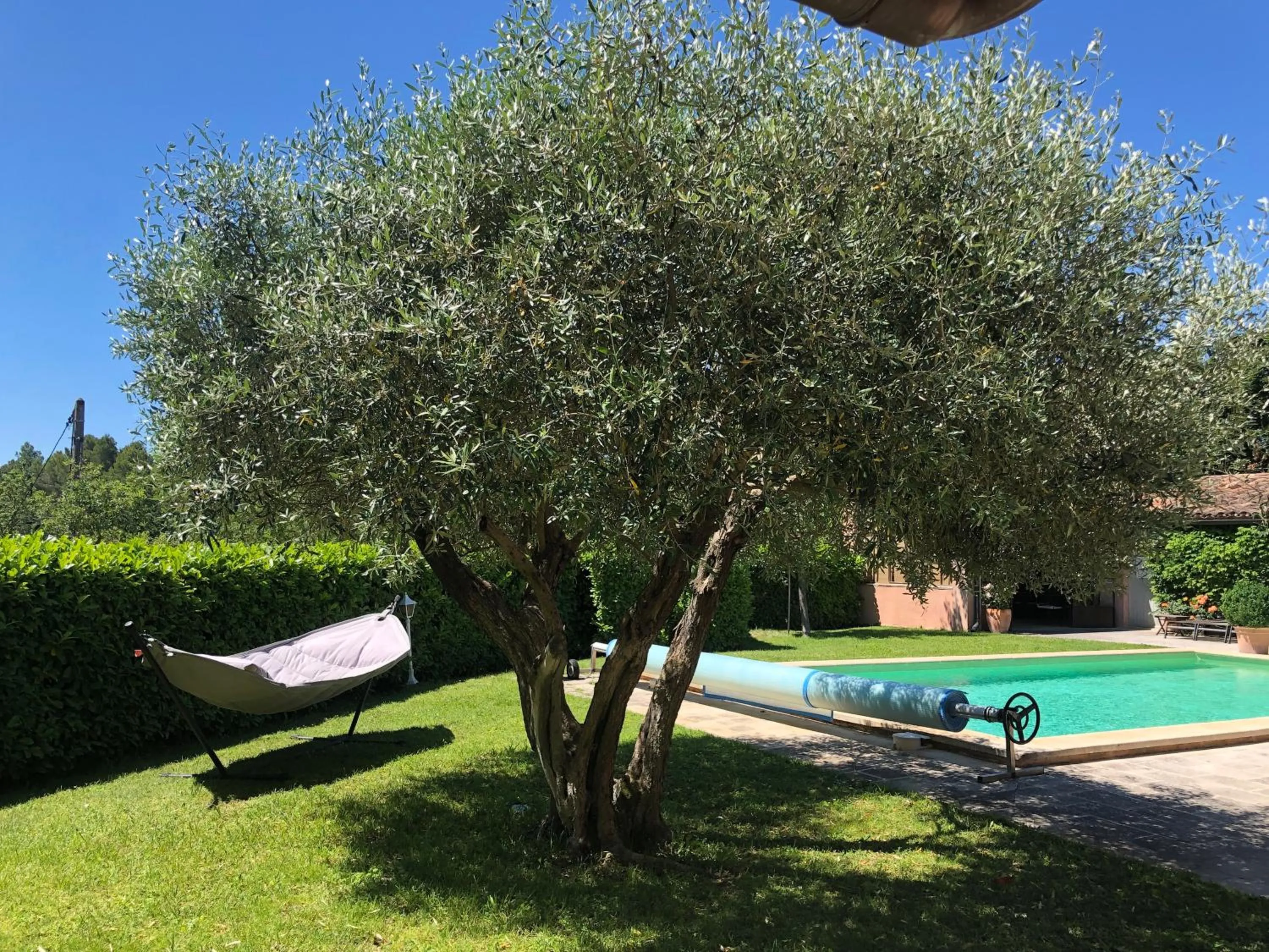 Pool view in B&B La Badelle