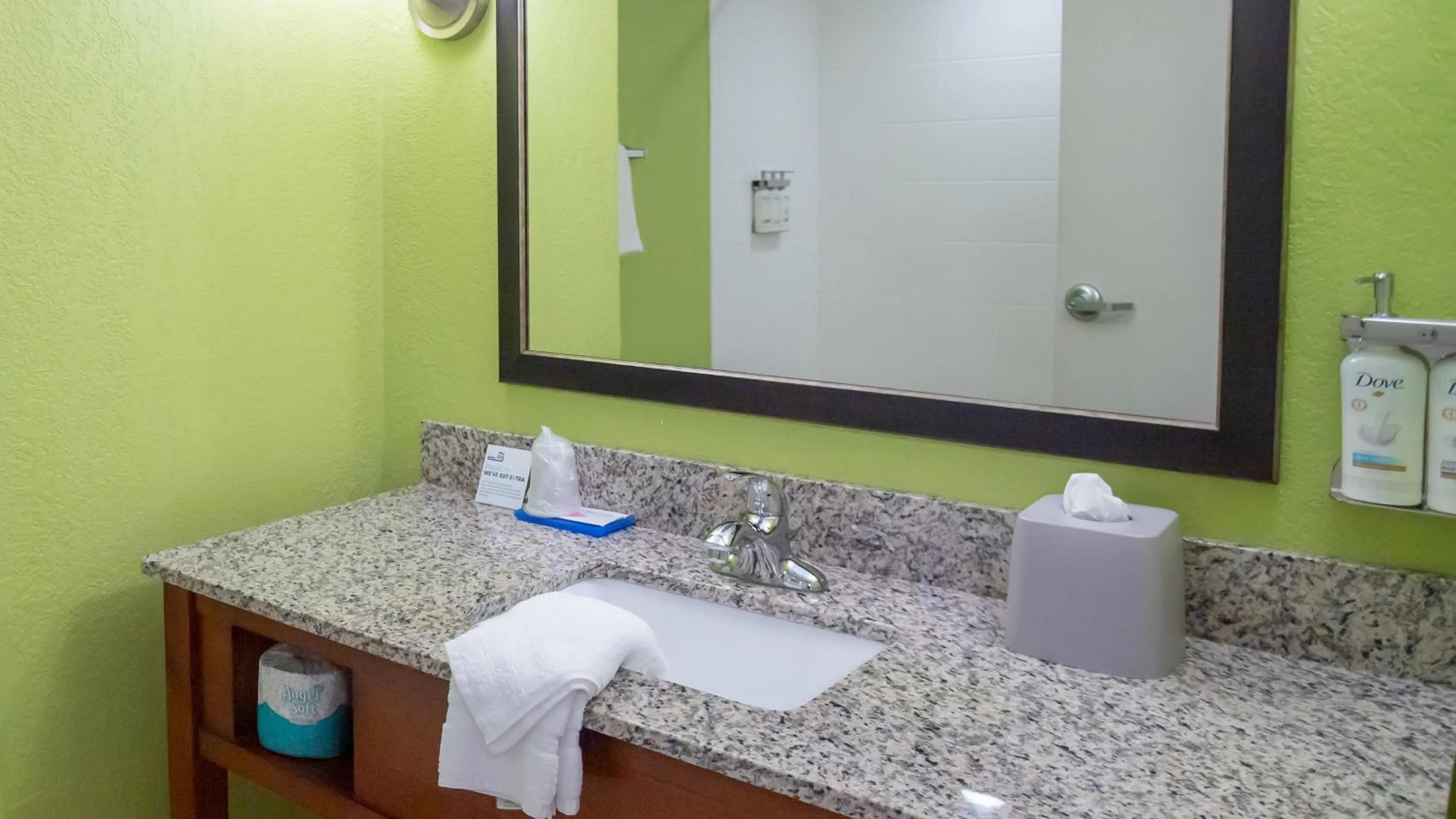 Bathroom in Holiday Inn Express Hickory - Hickory Mart by IHG