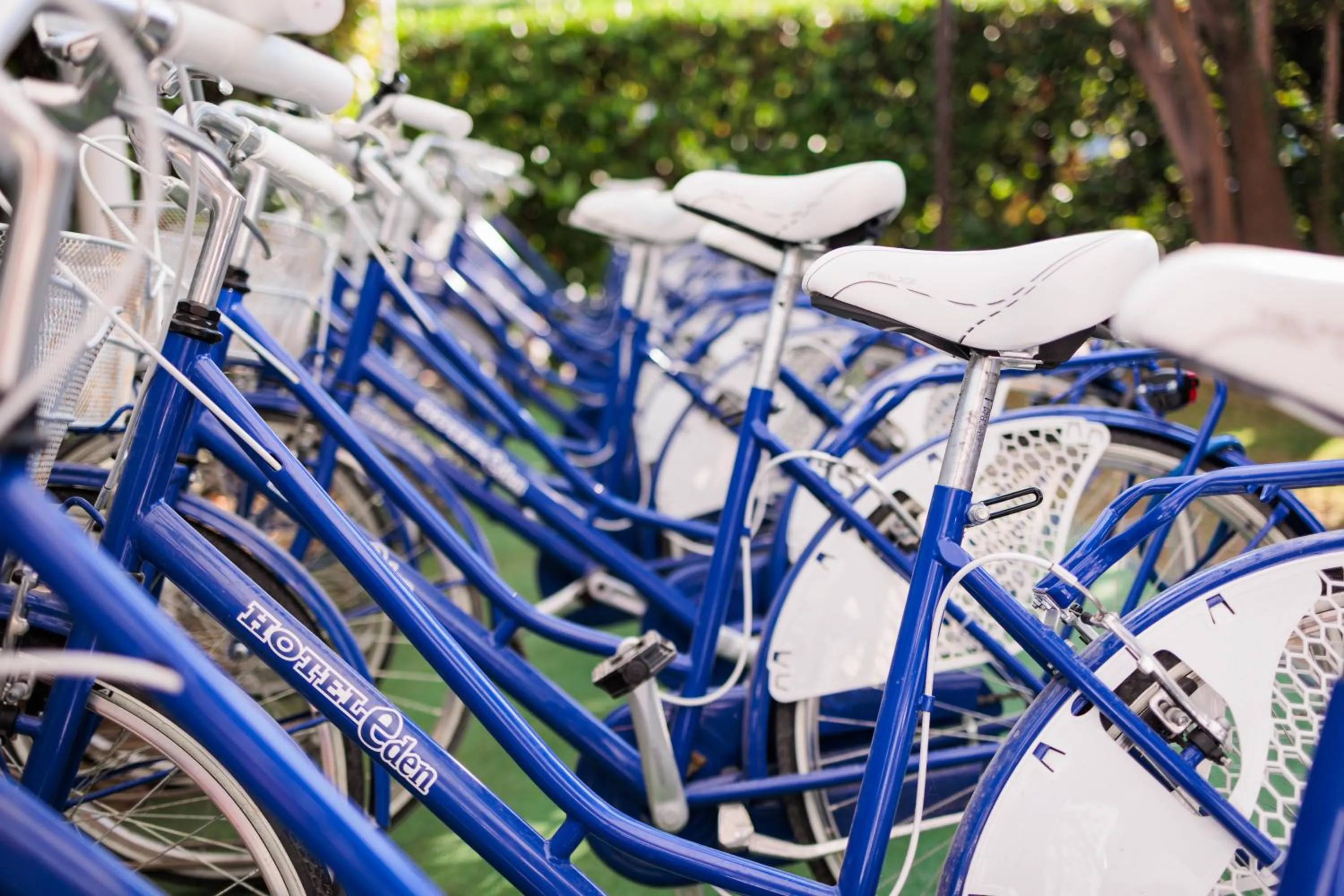 Cycling in Hotel Eden