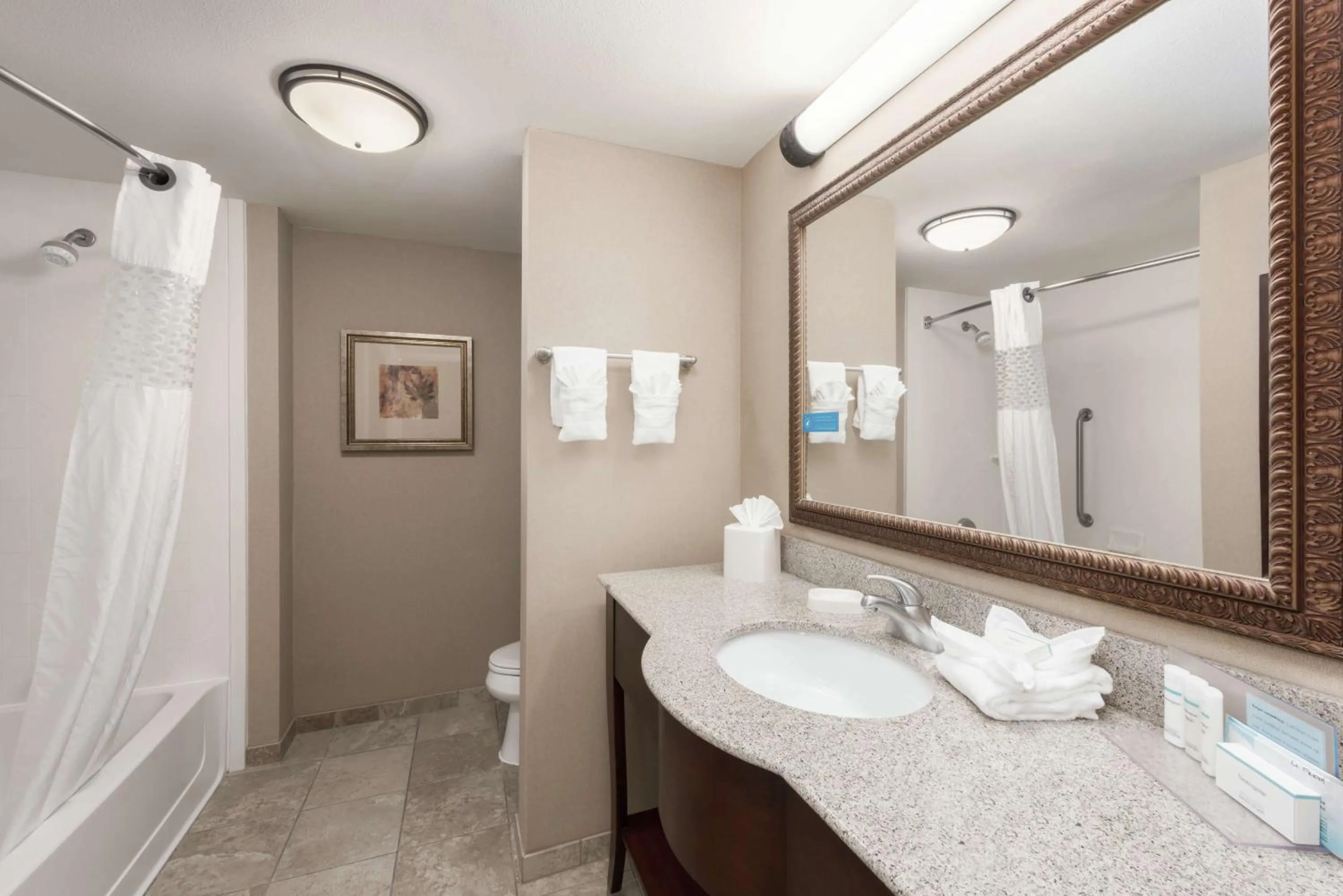 Bathroom in Hampton Inn Branson - Branson Hills