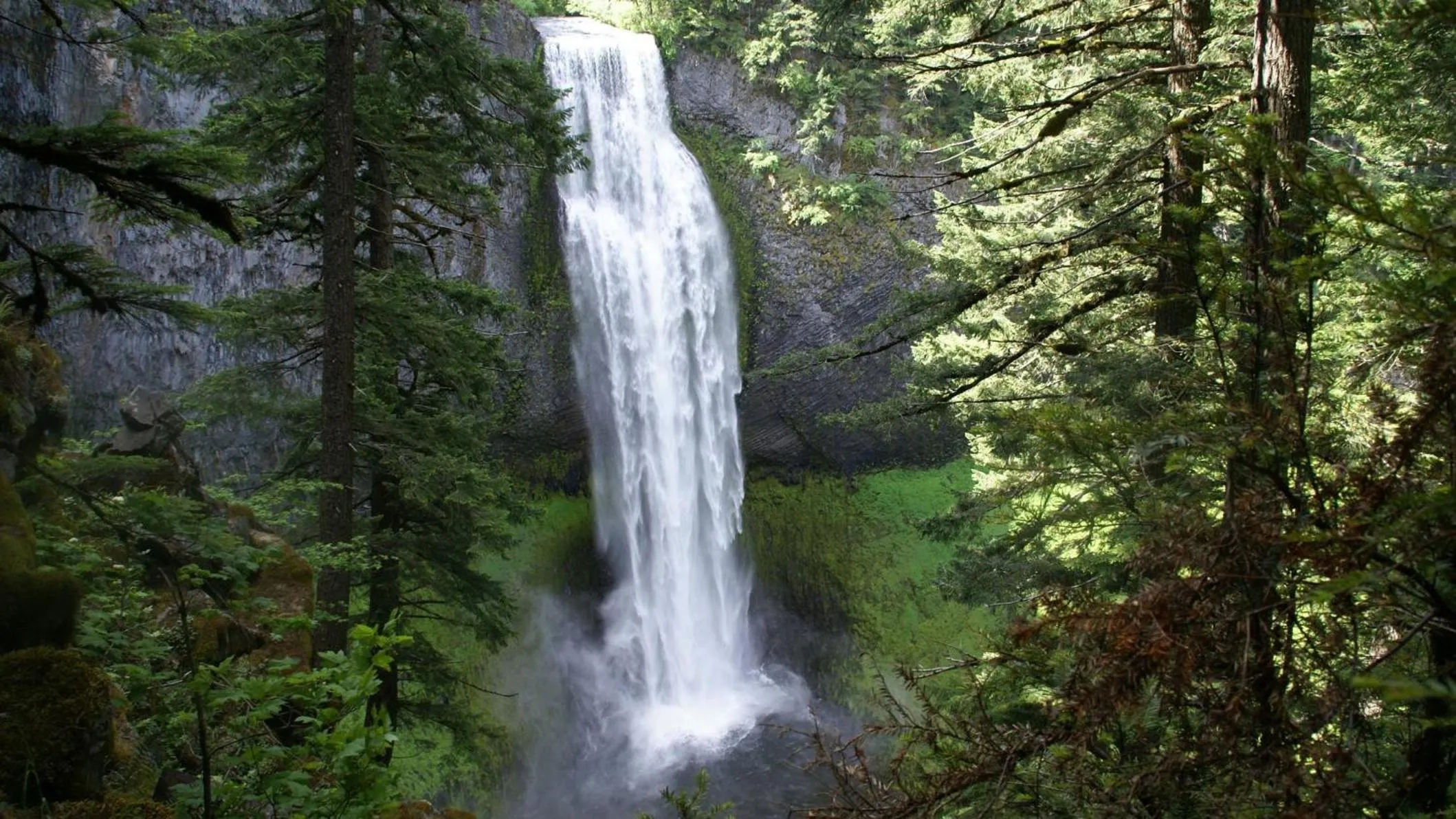 Nearby landmark in Holiday Inn Portland- I-5 S Wilsonville by IHG