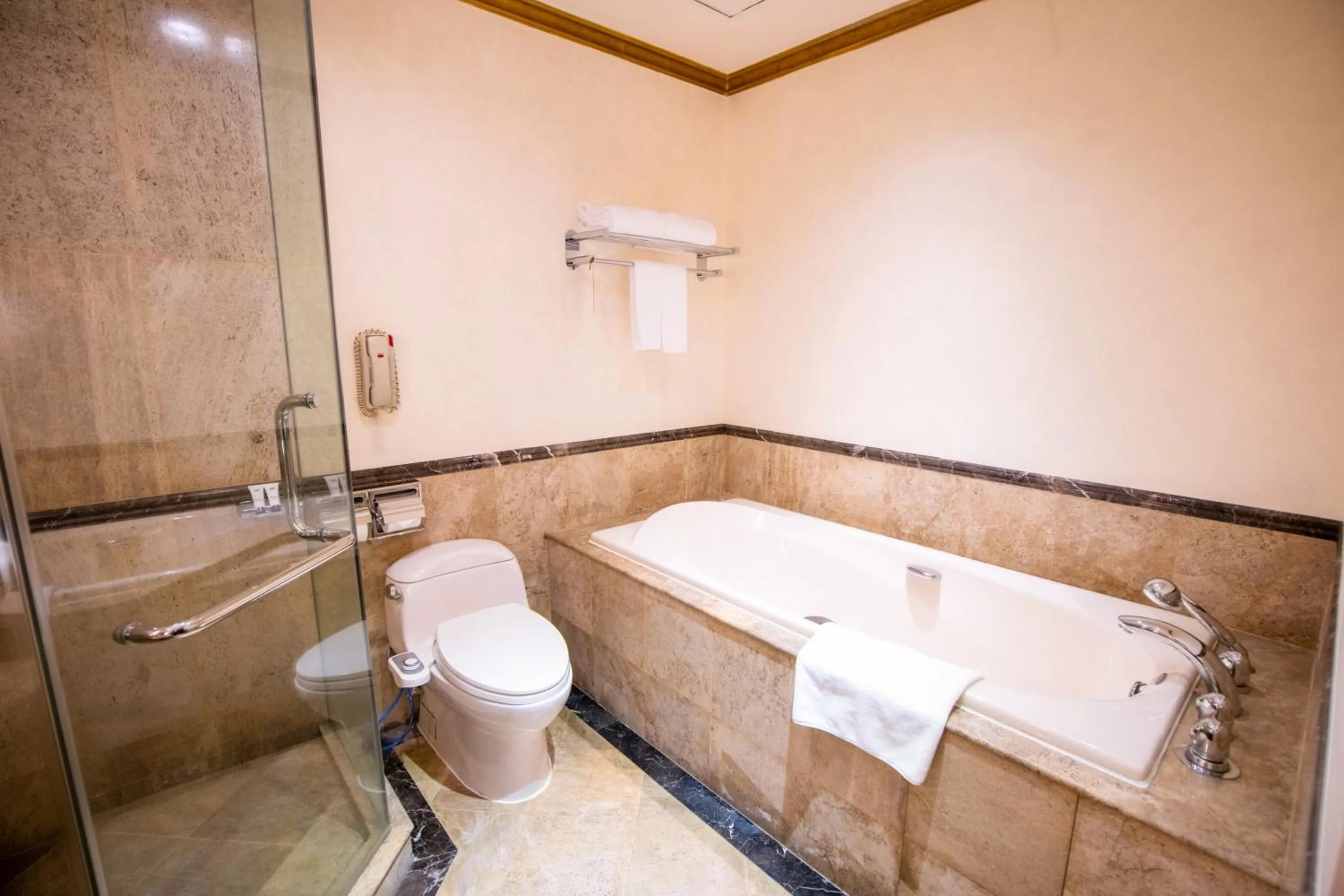 Toilet in TTC Imperial Hotel