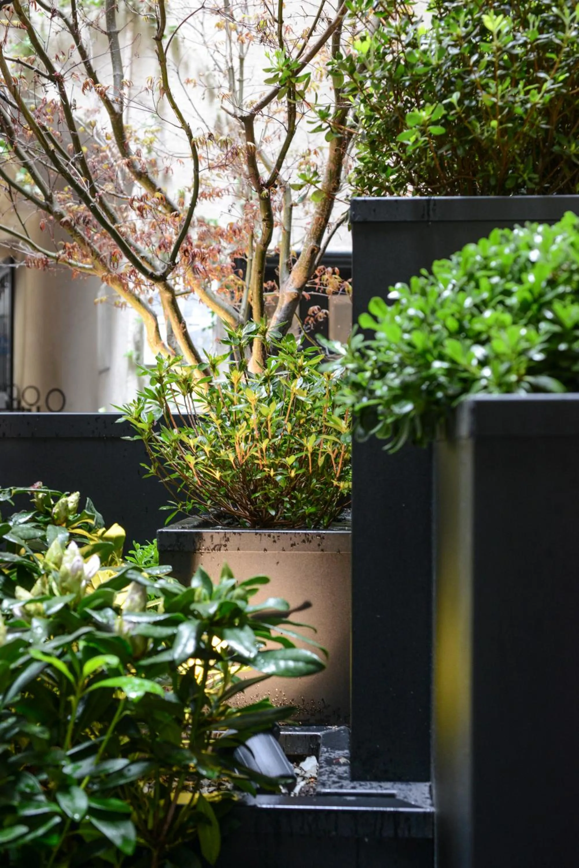 Property building in Petit Hôtel Confidentiel