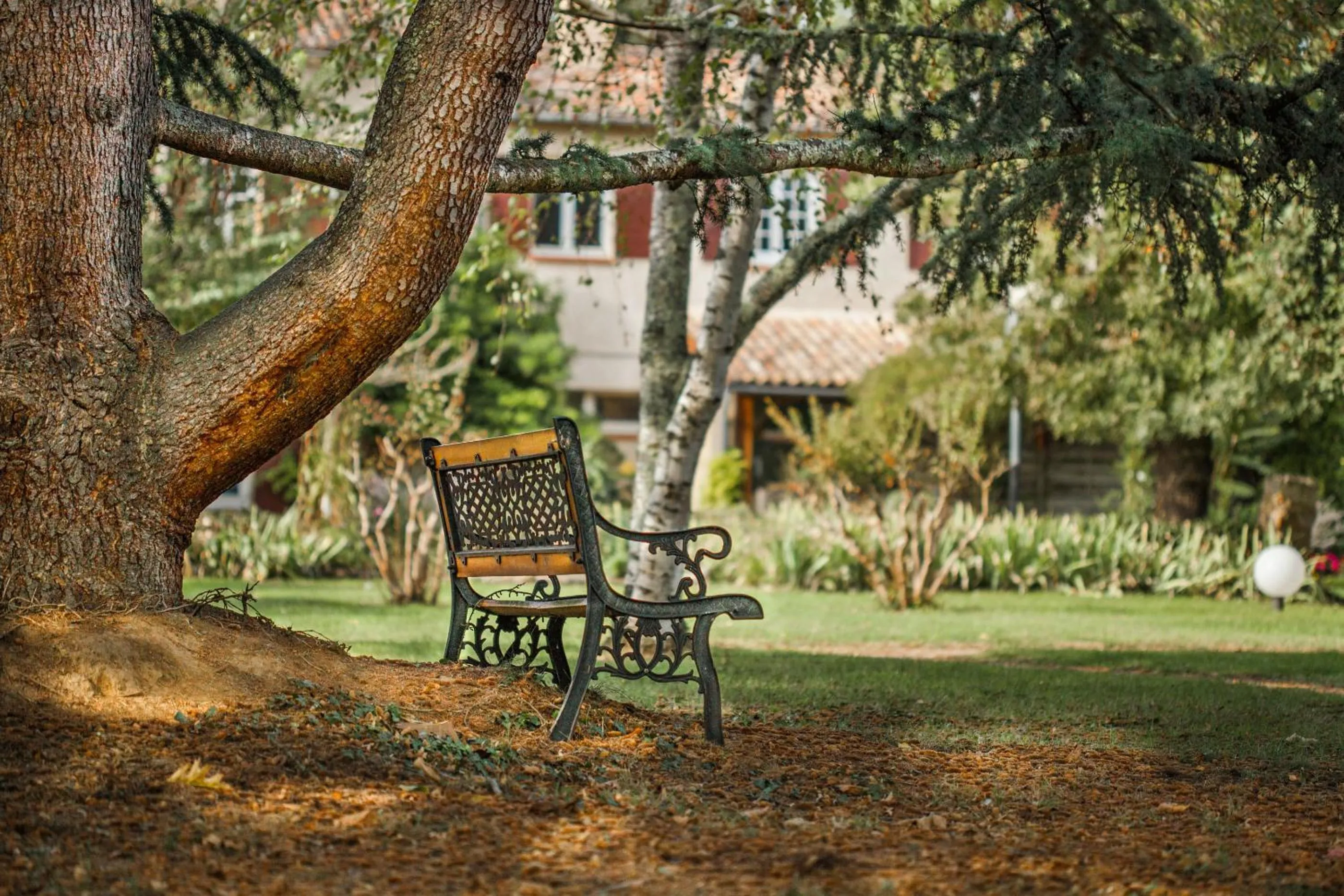 Garden in Hôtel La Flambée