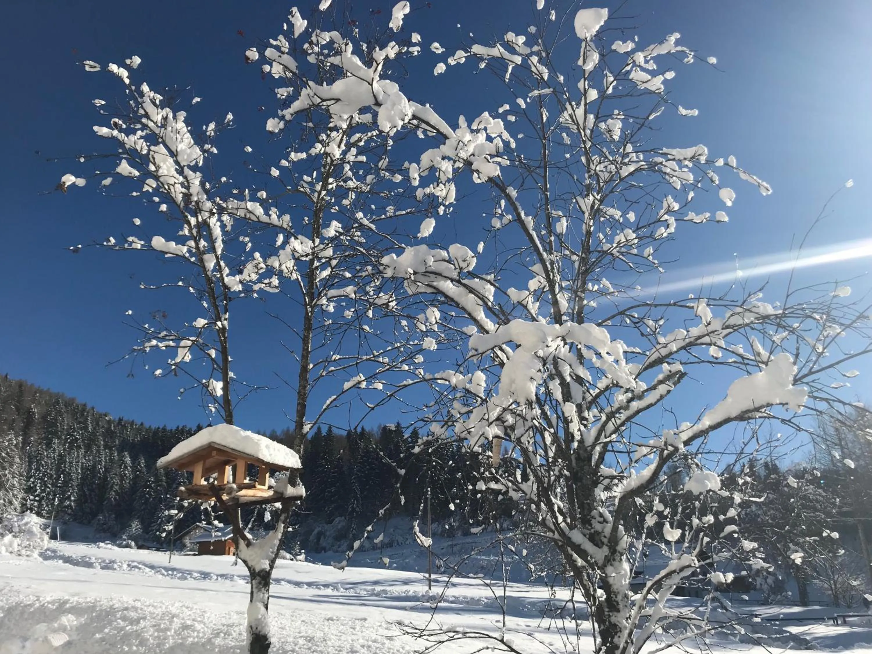 Winter in Kapriol