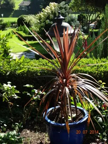 Day in Gartenhotel Lenzenhof - Wildschönau- PREMIUMCARD inclusive