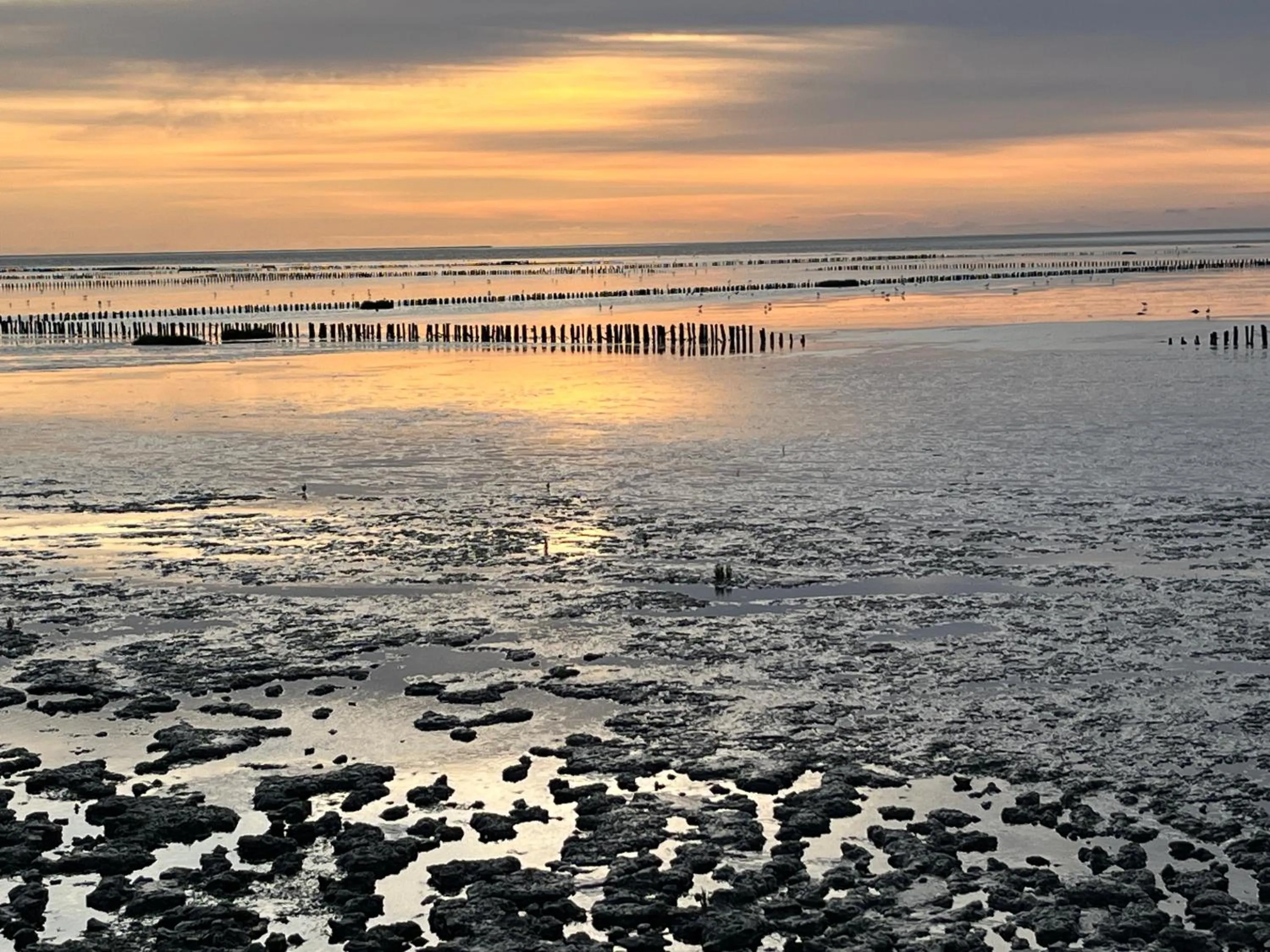 Bird's eye view in Ferienhaus Nordseejuwel